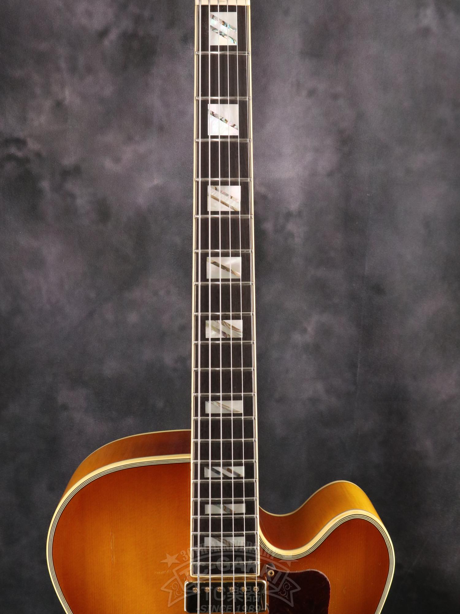 Aria Custom Shop AP-FA03