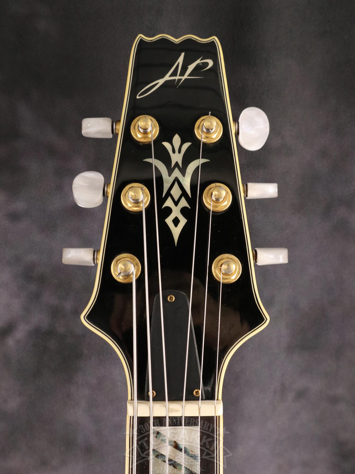 Aria Custom Shop AP-FA03