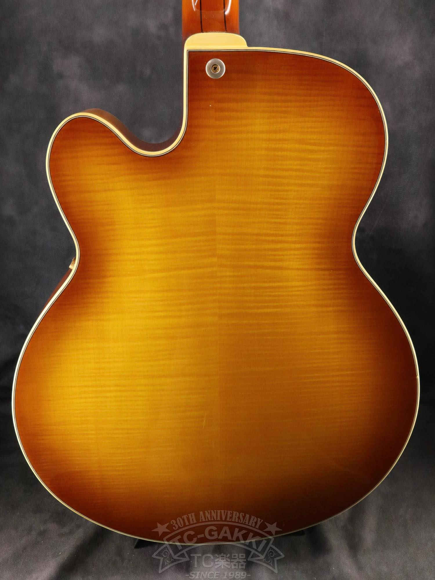 Aria Custom Shop AP-FA03