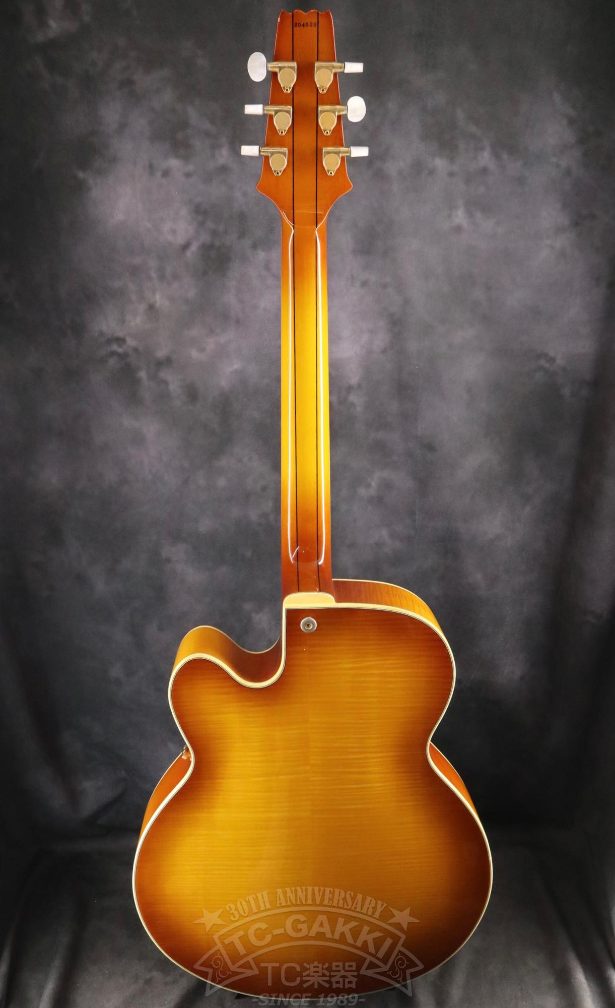 Aria Custom Shop AP-FA03