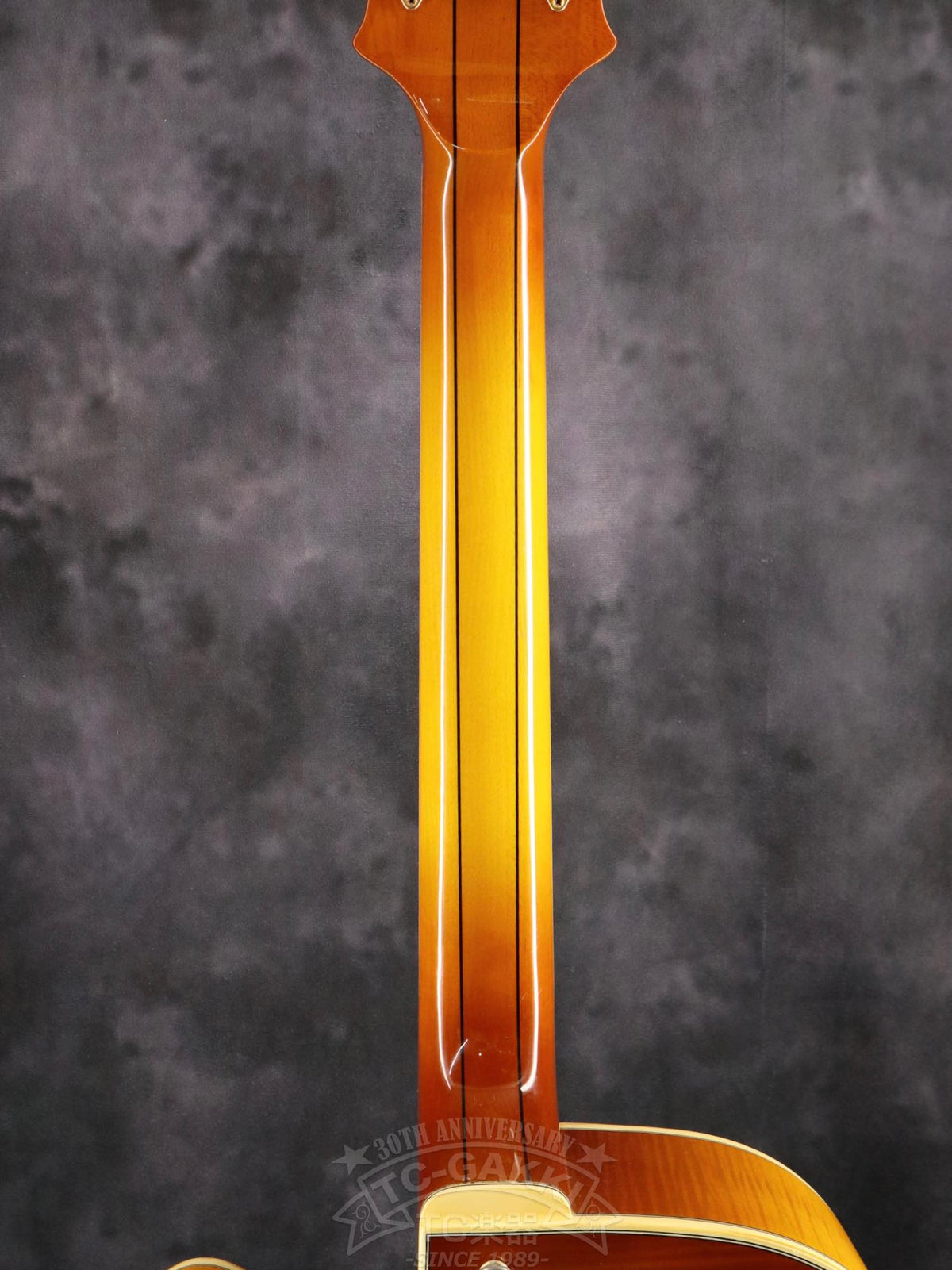 Aria Custom Shop AP-FA03