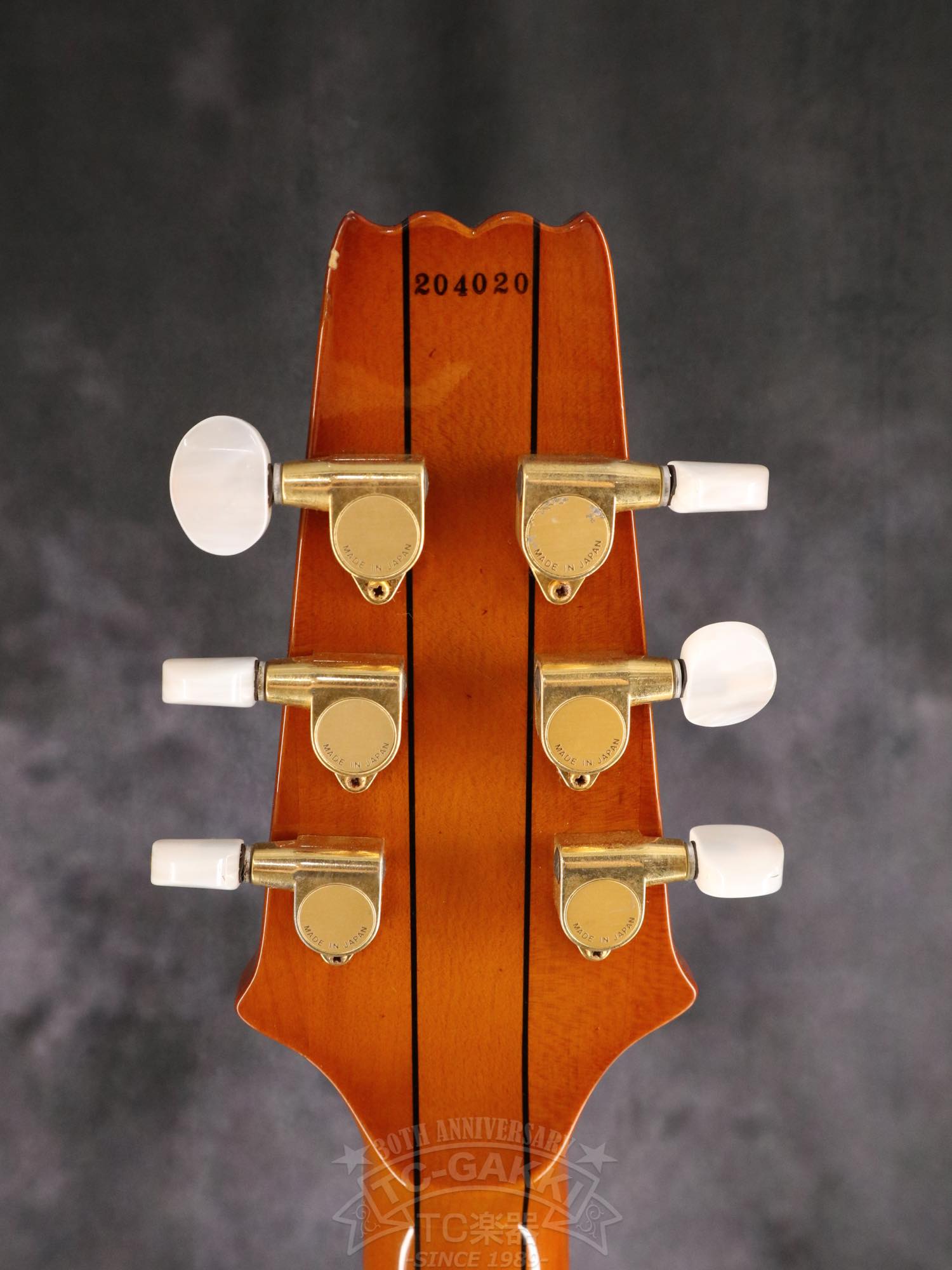 Aria Custom Shop AP-FA03