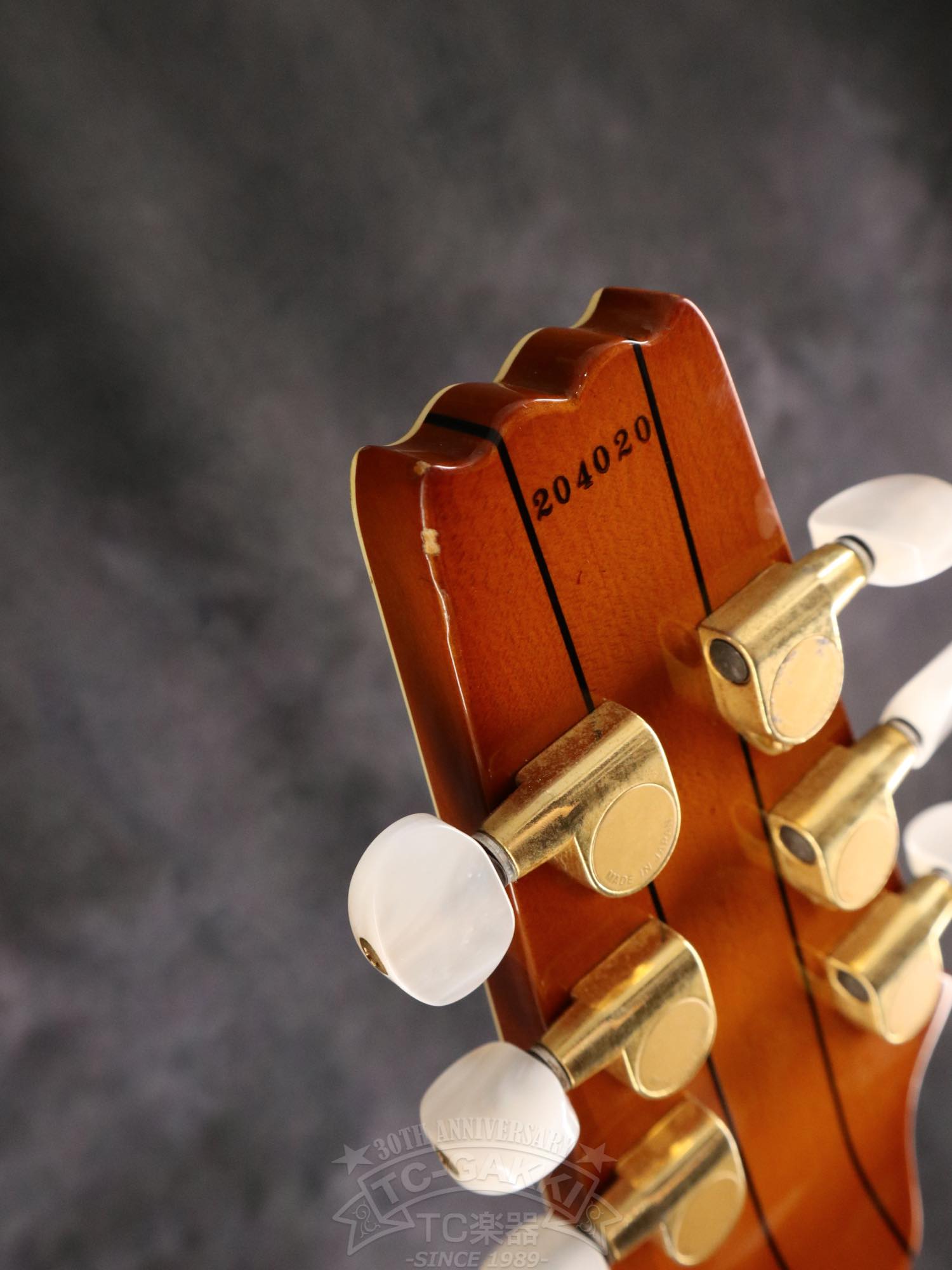 Aria Custom Shop AP-FA03
