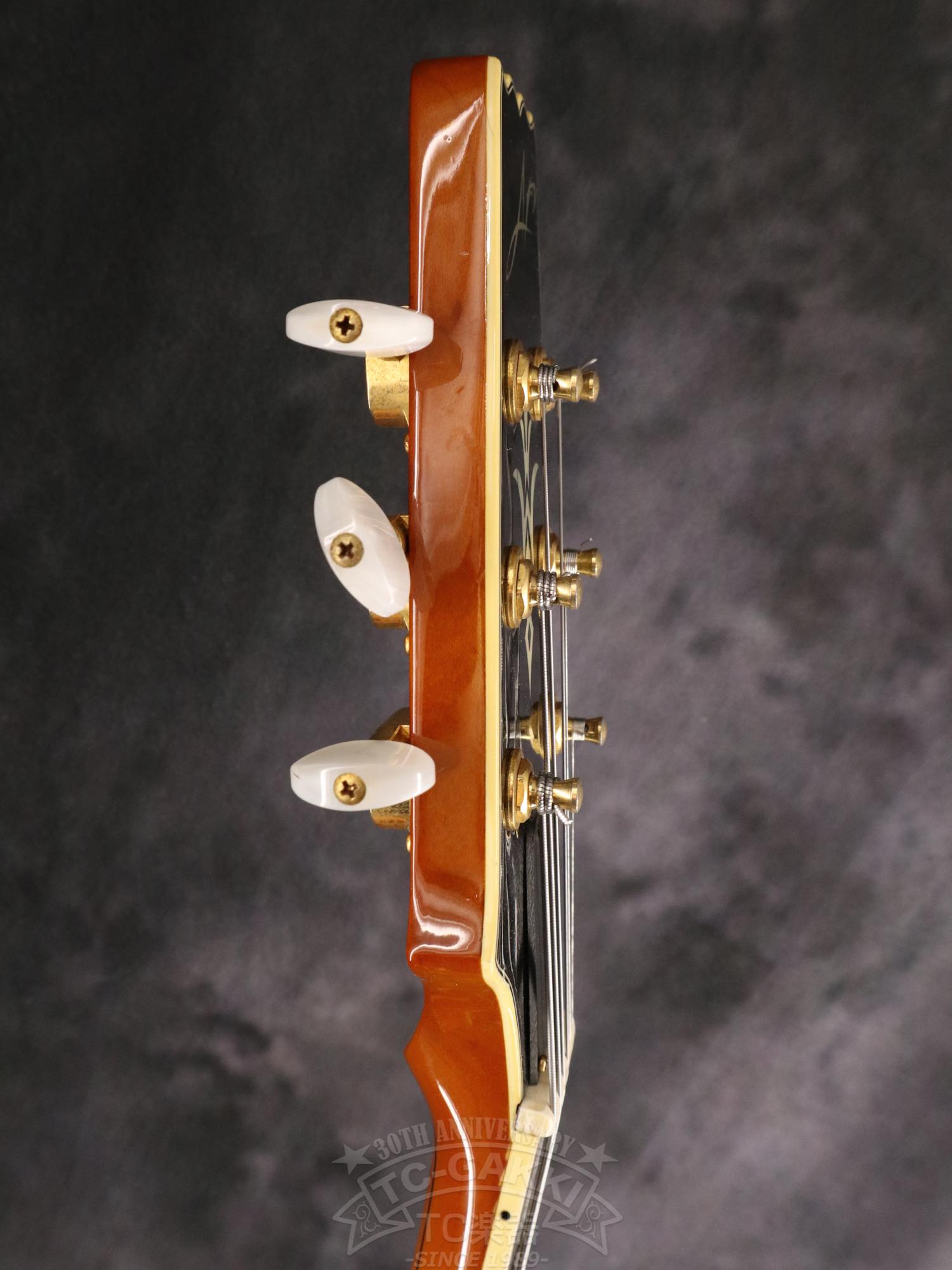 Aria Custom Shop AP-FA03