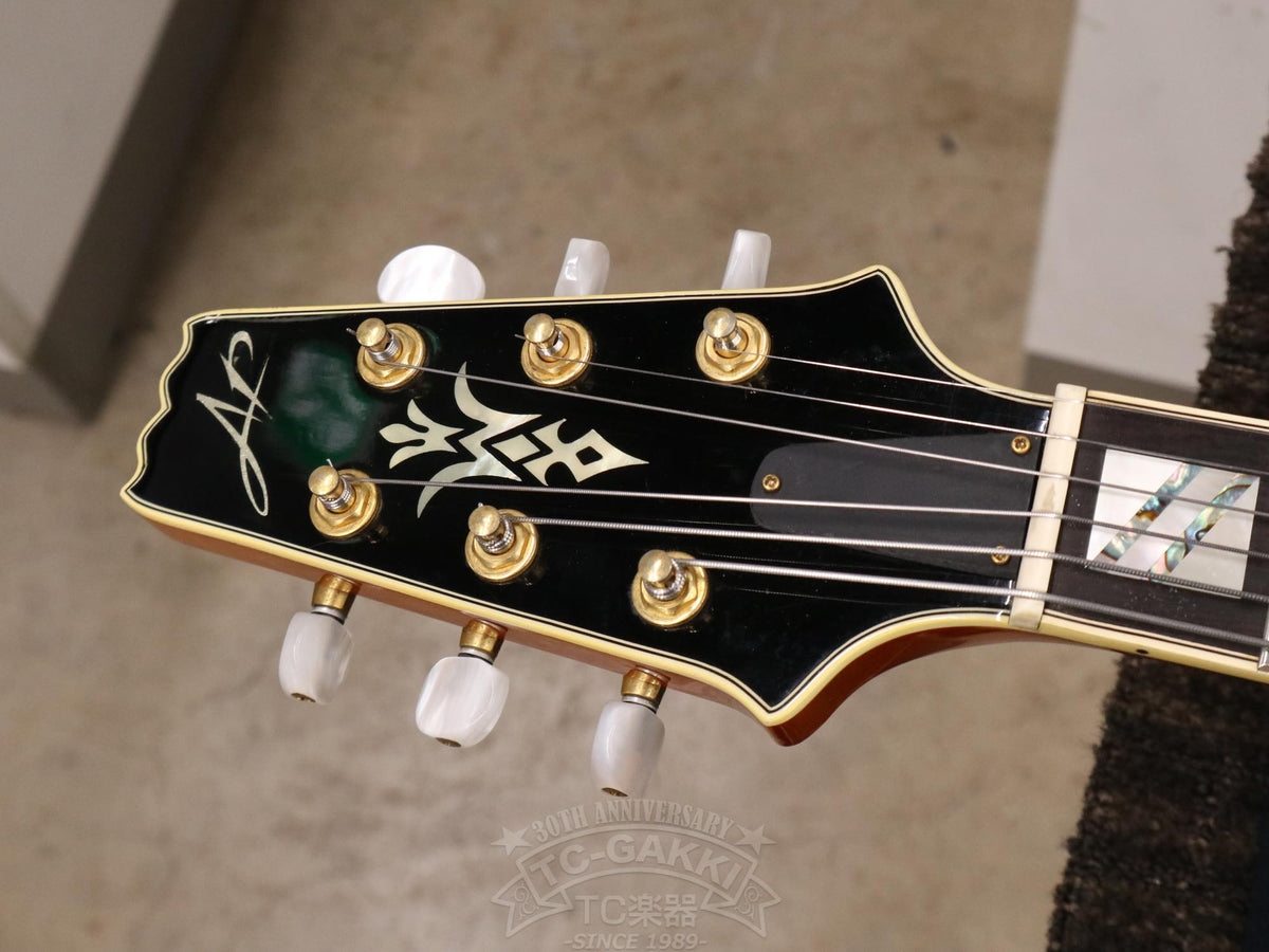 Aria Custom Shop AP-FA03