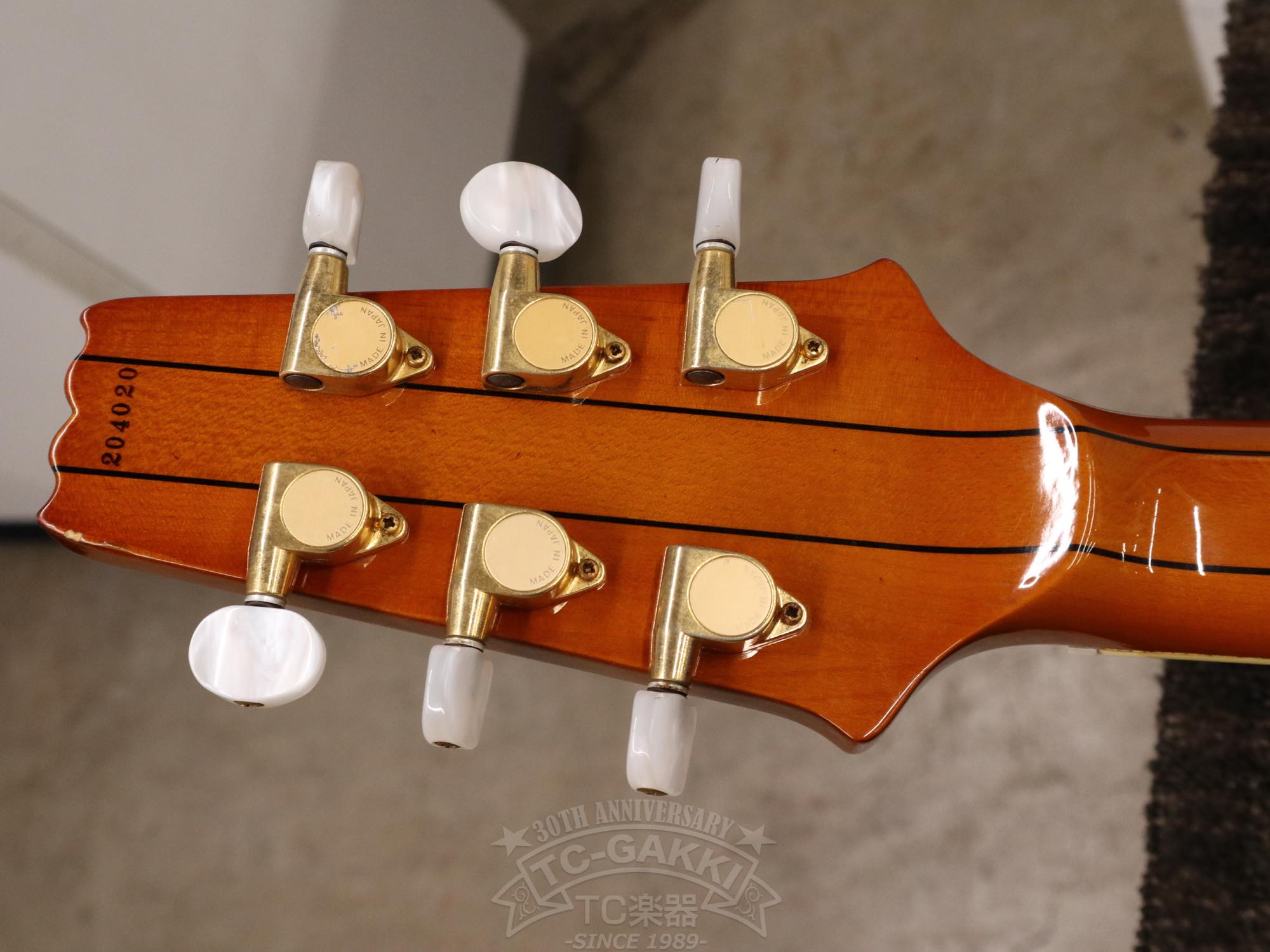Aria Custom Shop AP-FA03