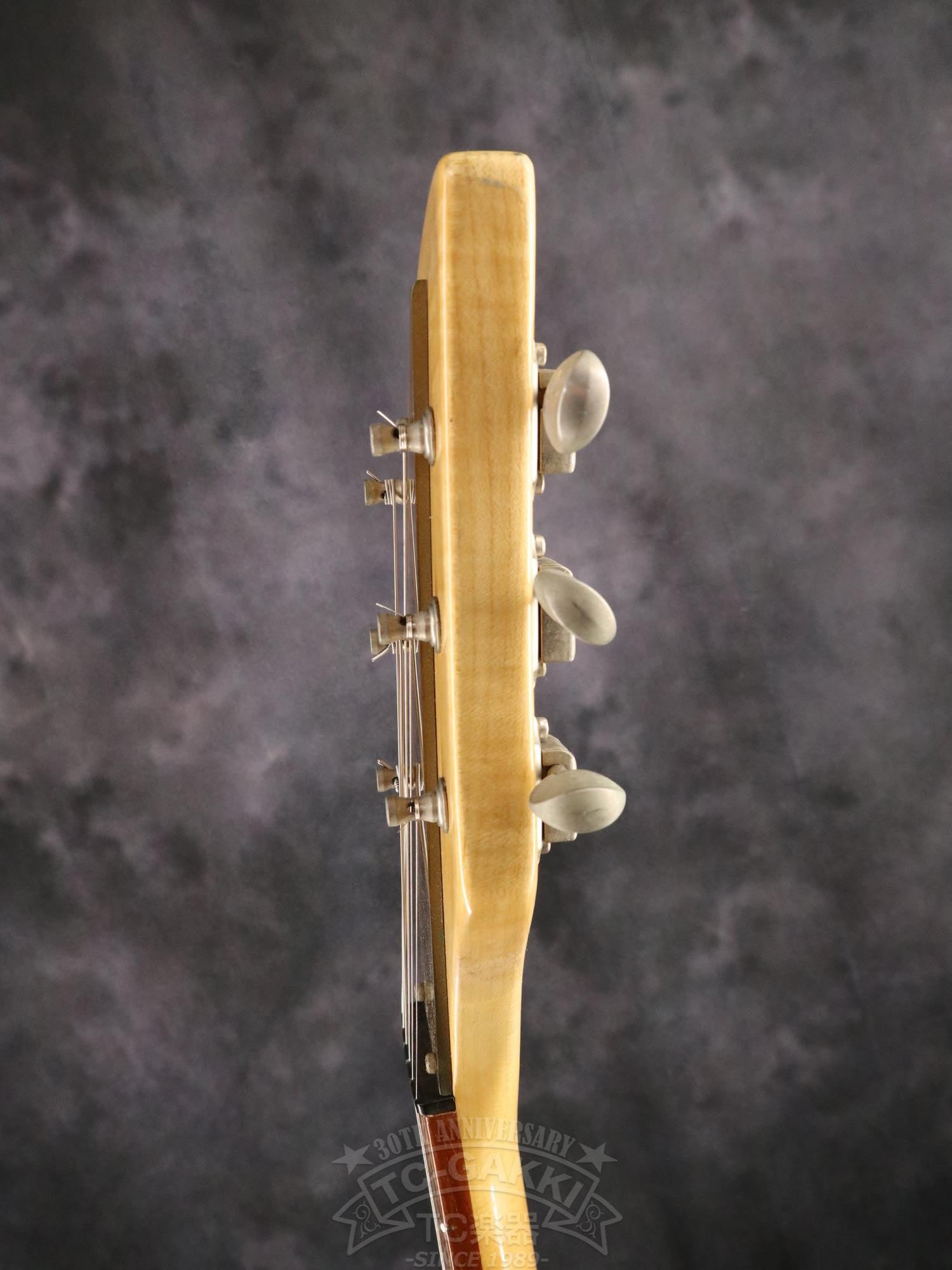Rickenbacker 325V59