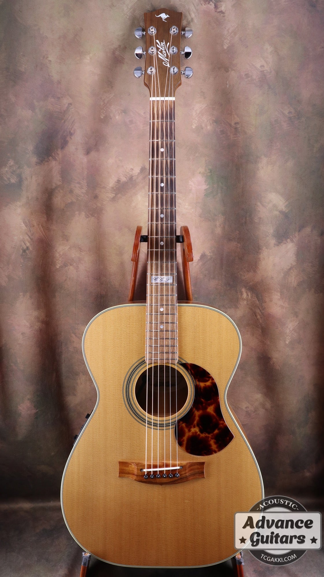 2017年製 EBG808 TE (Tommy EMMANUEZL)