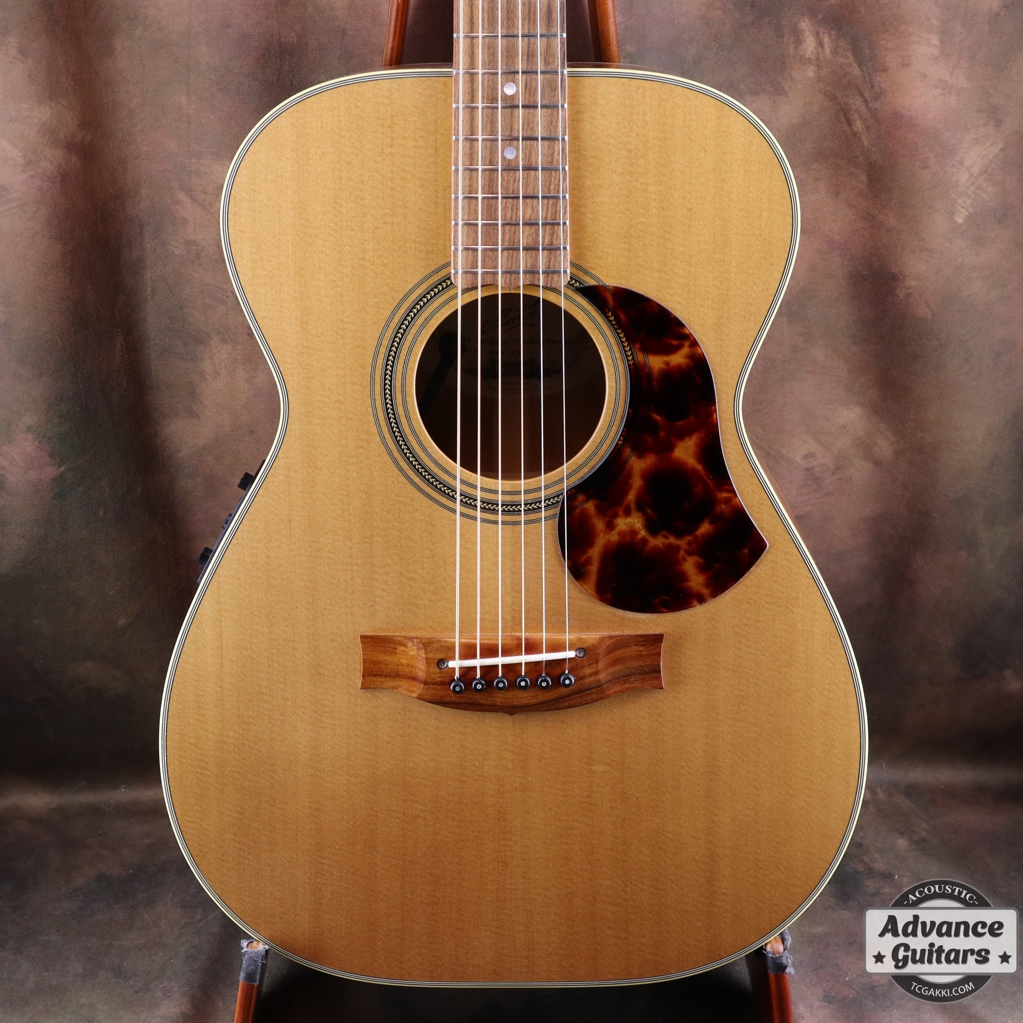 2017年製 EBG808 TE (Tommy EMMANUEZL)