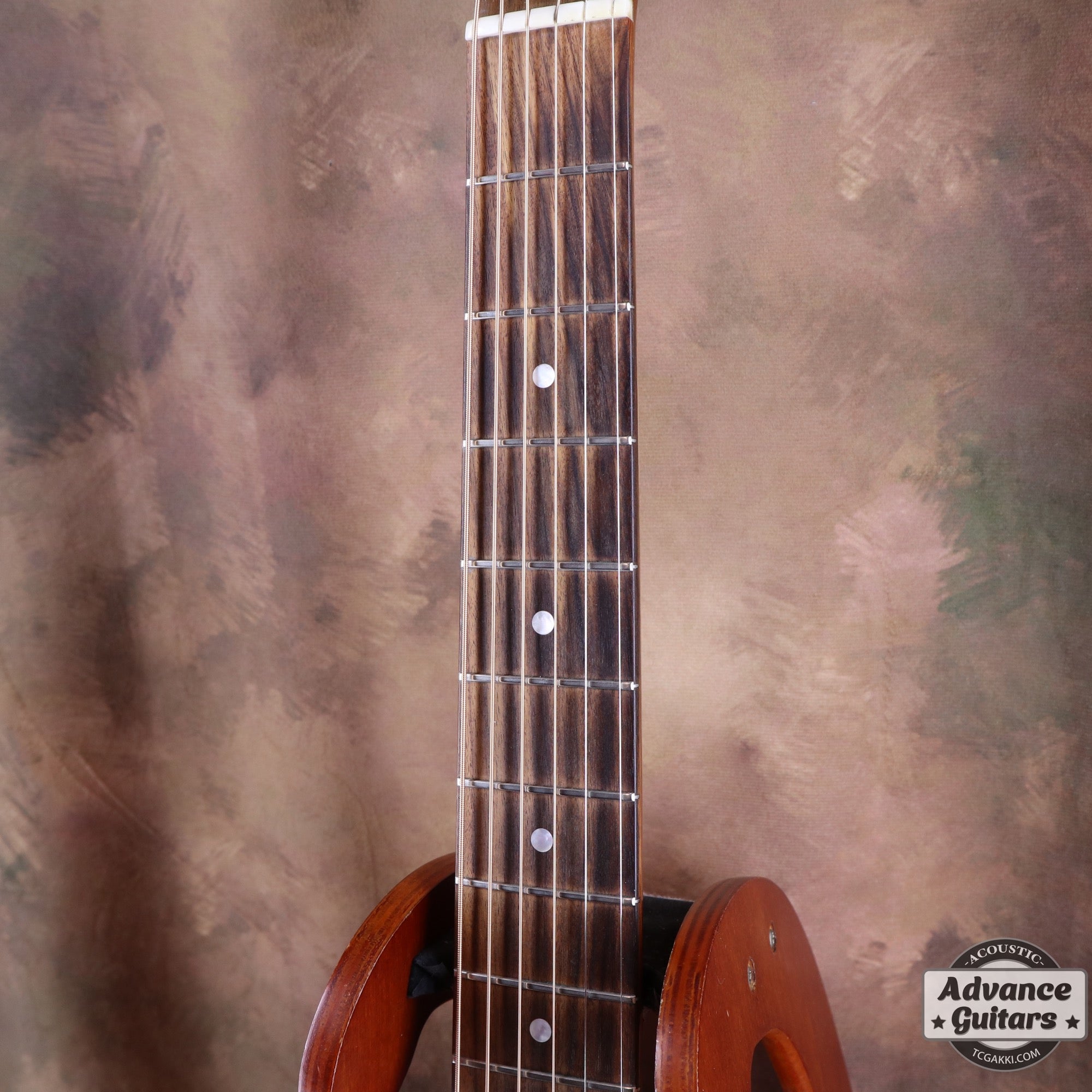 2017年製 EBG808 TE (Tommy EMMANUEZL)