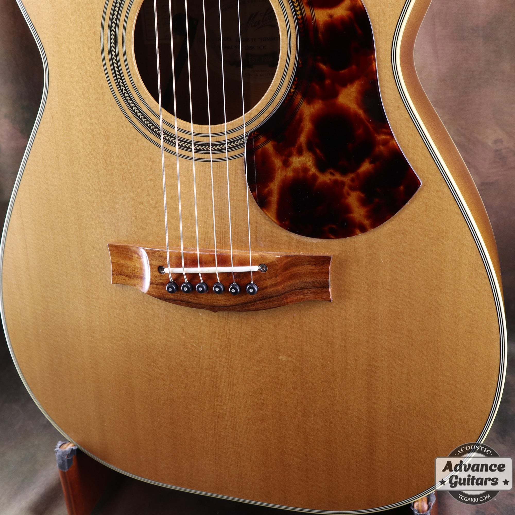 2017年製 EBG808 TE (Tommy EMMANUEZL)