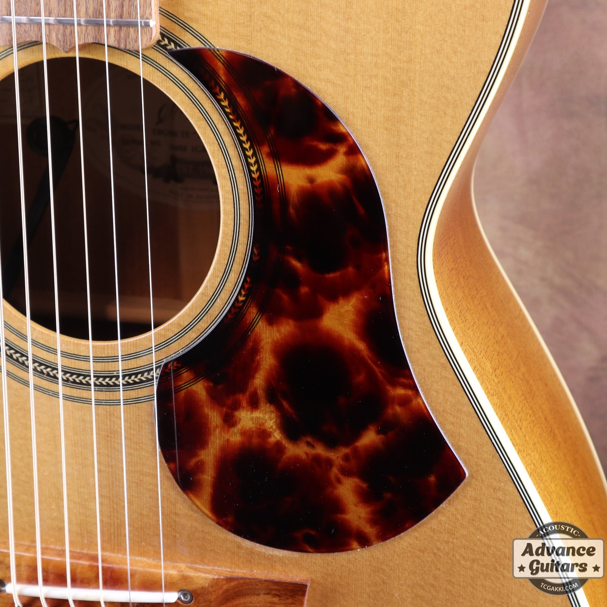 2017年製 EBG808 TE (Tommy EMMANUEZL)