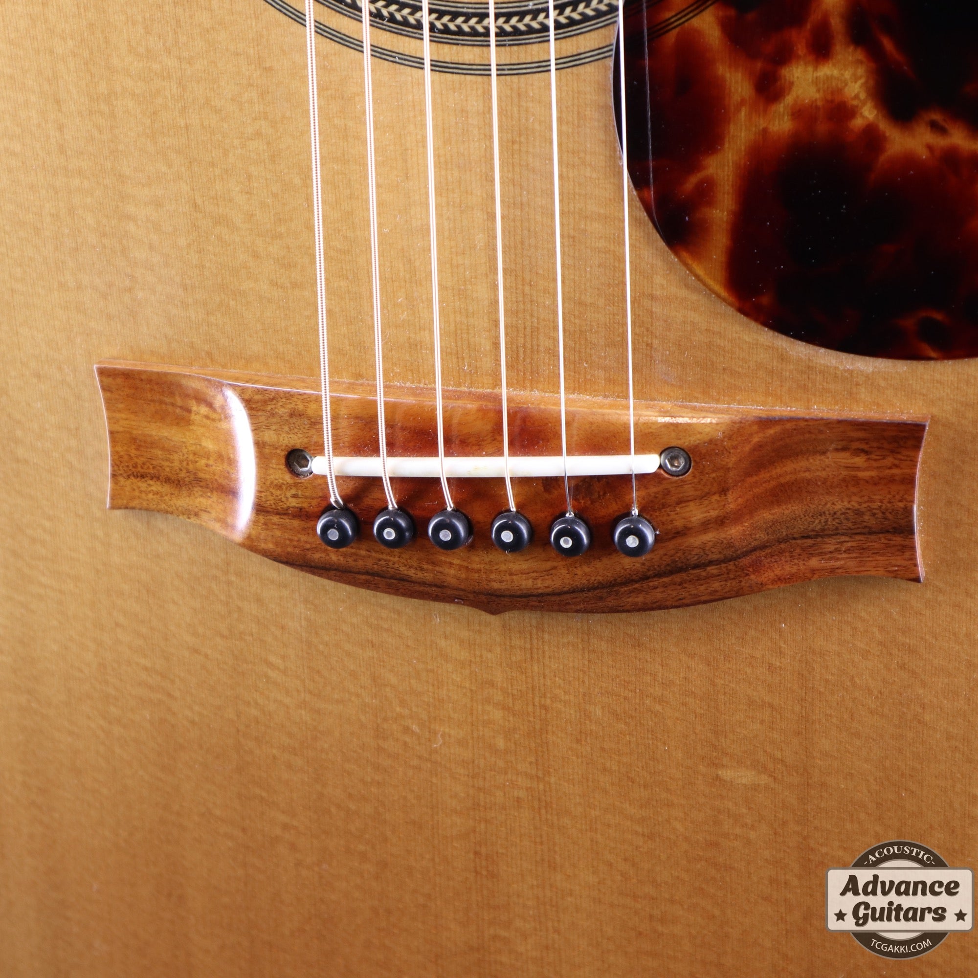 2017年製 EBG808 TE (Tommy EMMANUEZL)