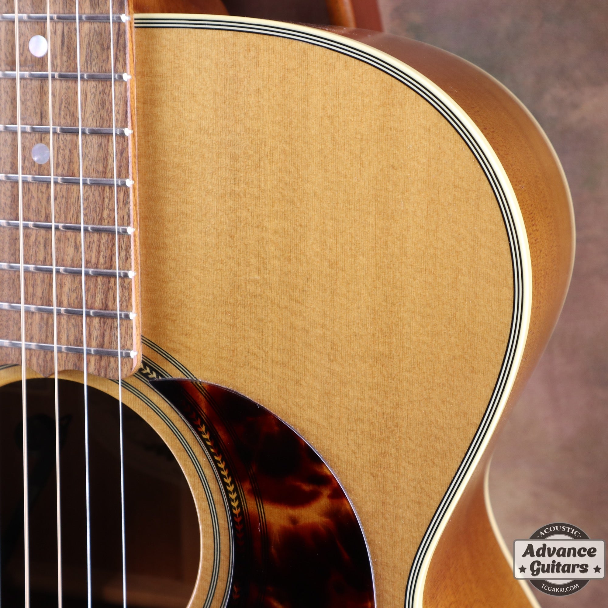 2017年製 EBG808 TE (Tommy EMMANUEZL)