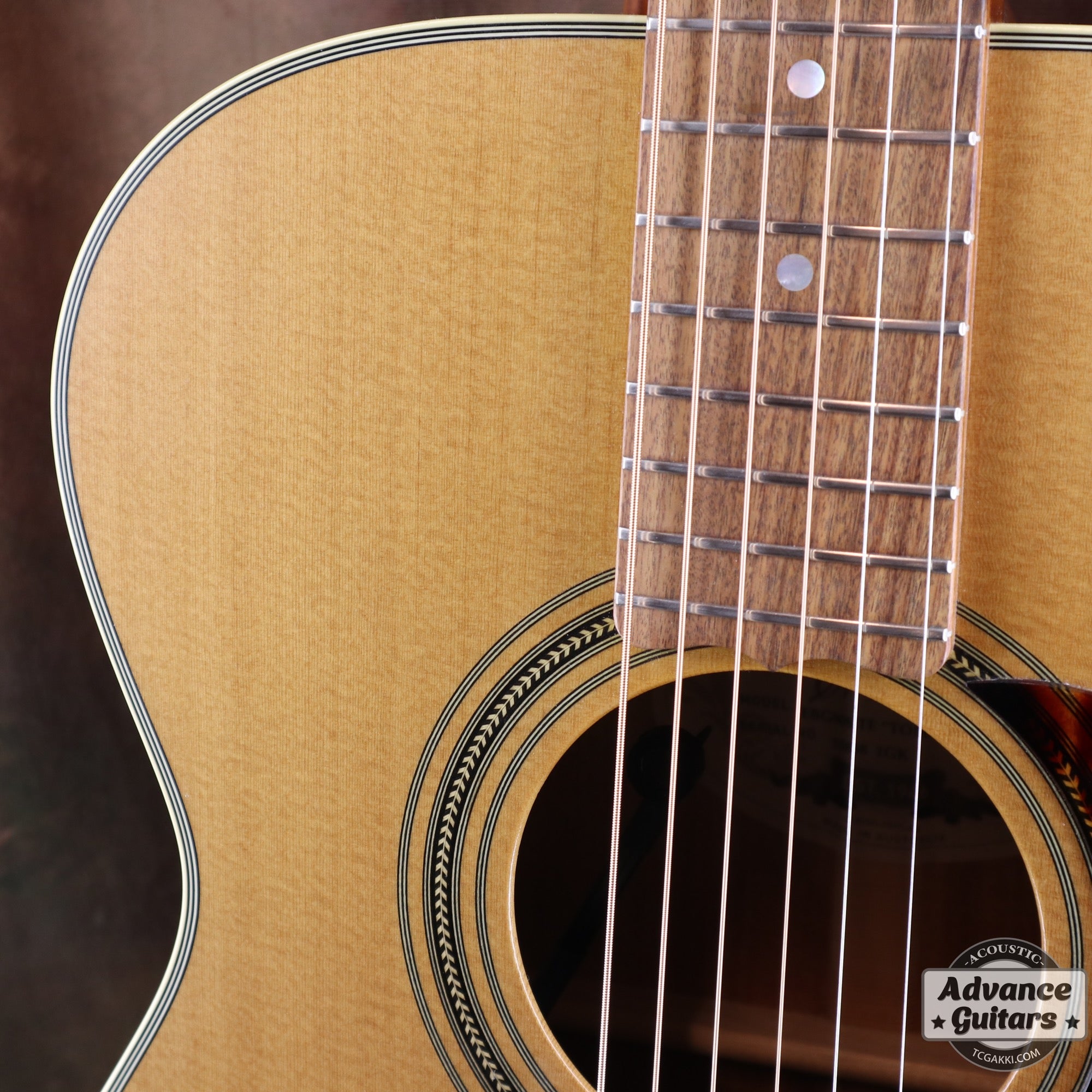 2017年製 EBG808 TE (Tommy EMMANUEZL)