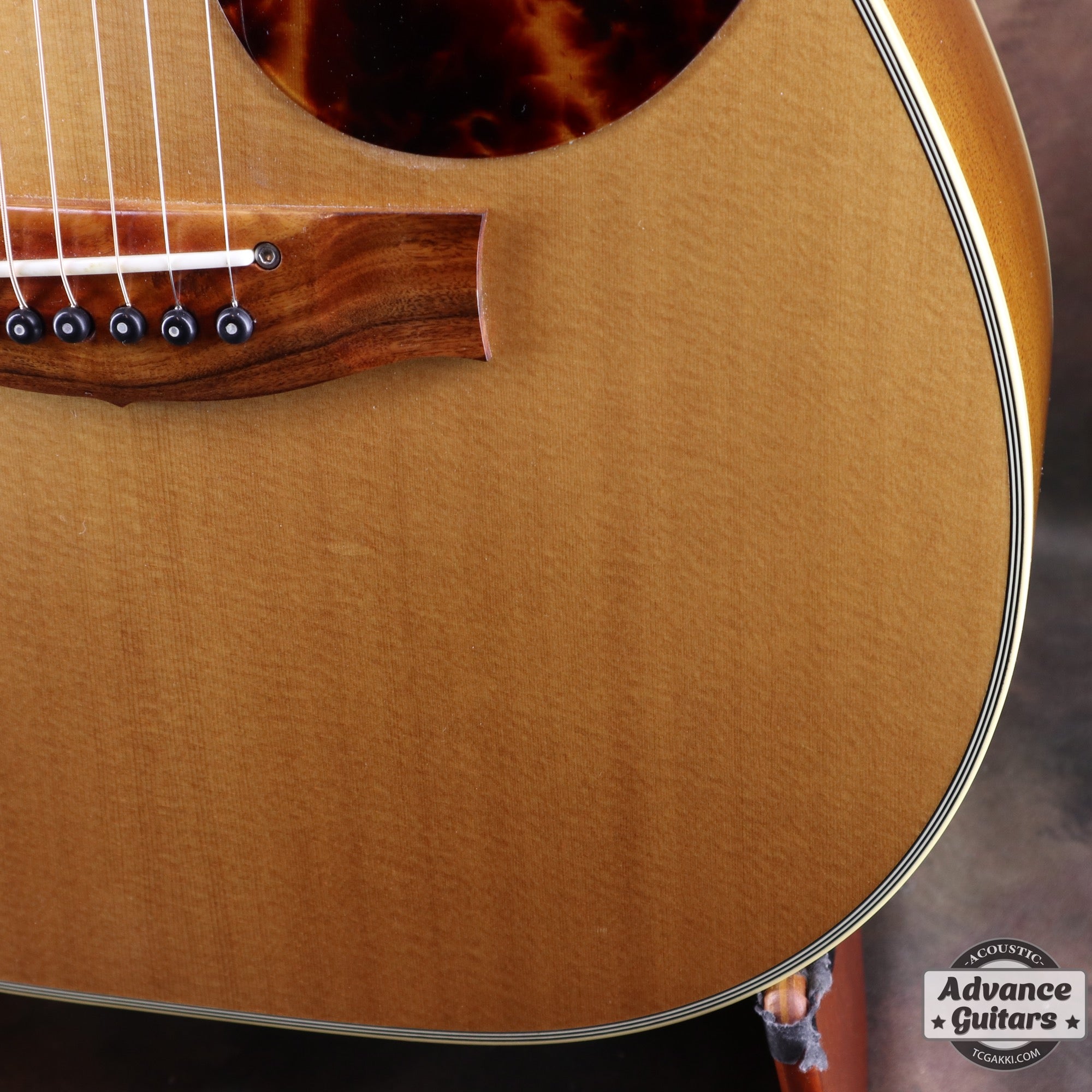 2017年製 EBG808 TE (Tommy EMMANUEZL)