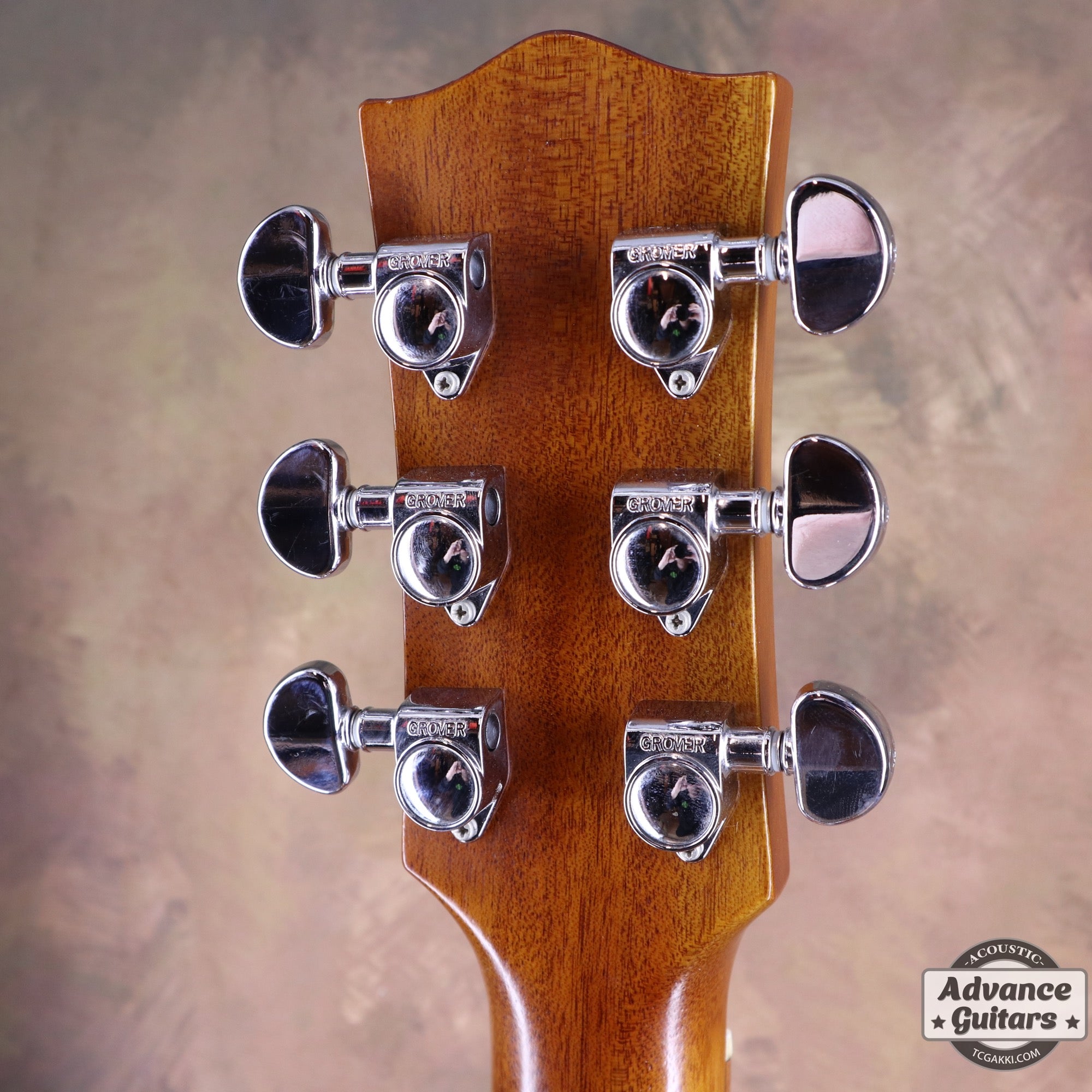 2017年製 EBG808 TE (Tommy EMMANUEZL)