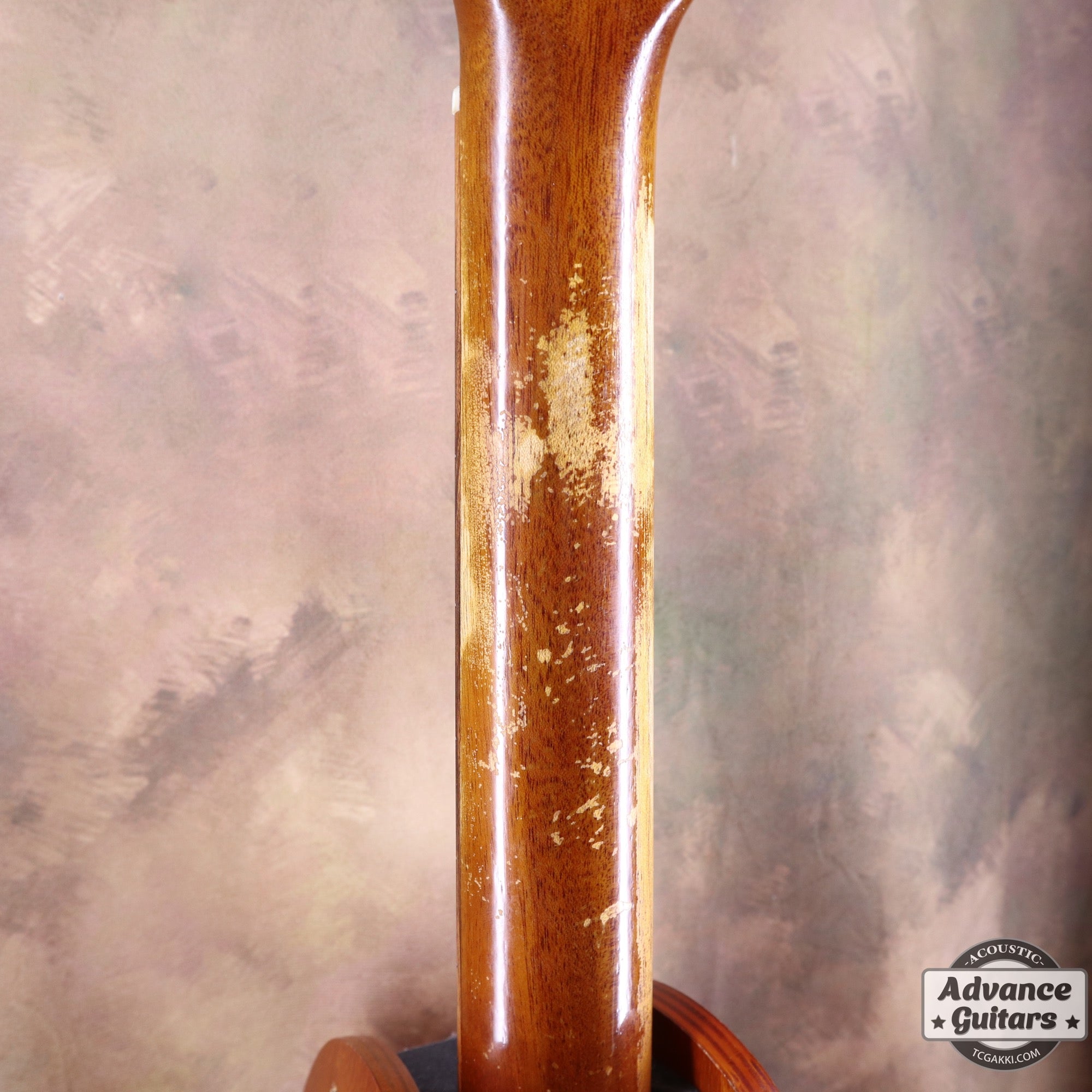 2017年製 EBG808 TE (Tommy EMMANUEZL)