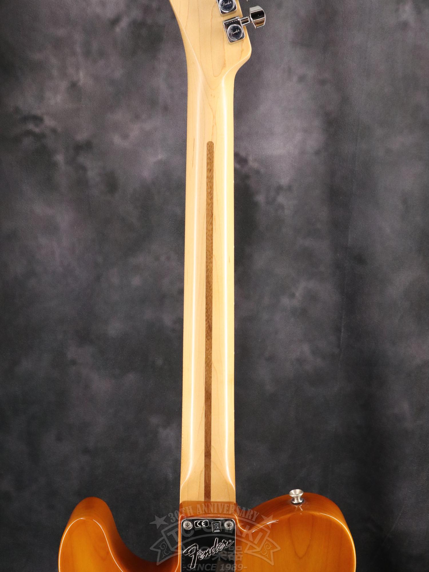 Fender USA Performer Telecaster