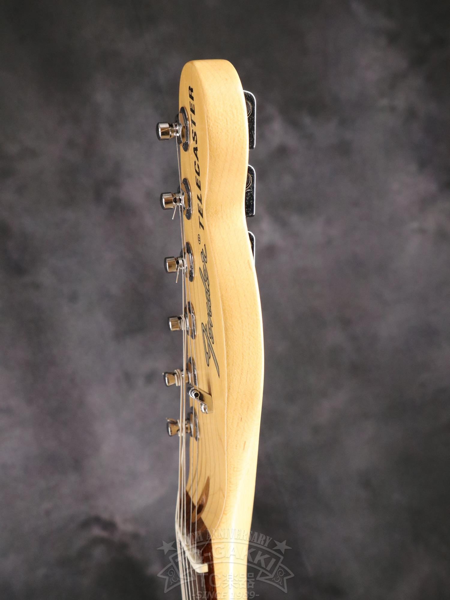 Fender USA Performer Telecaster