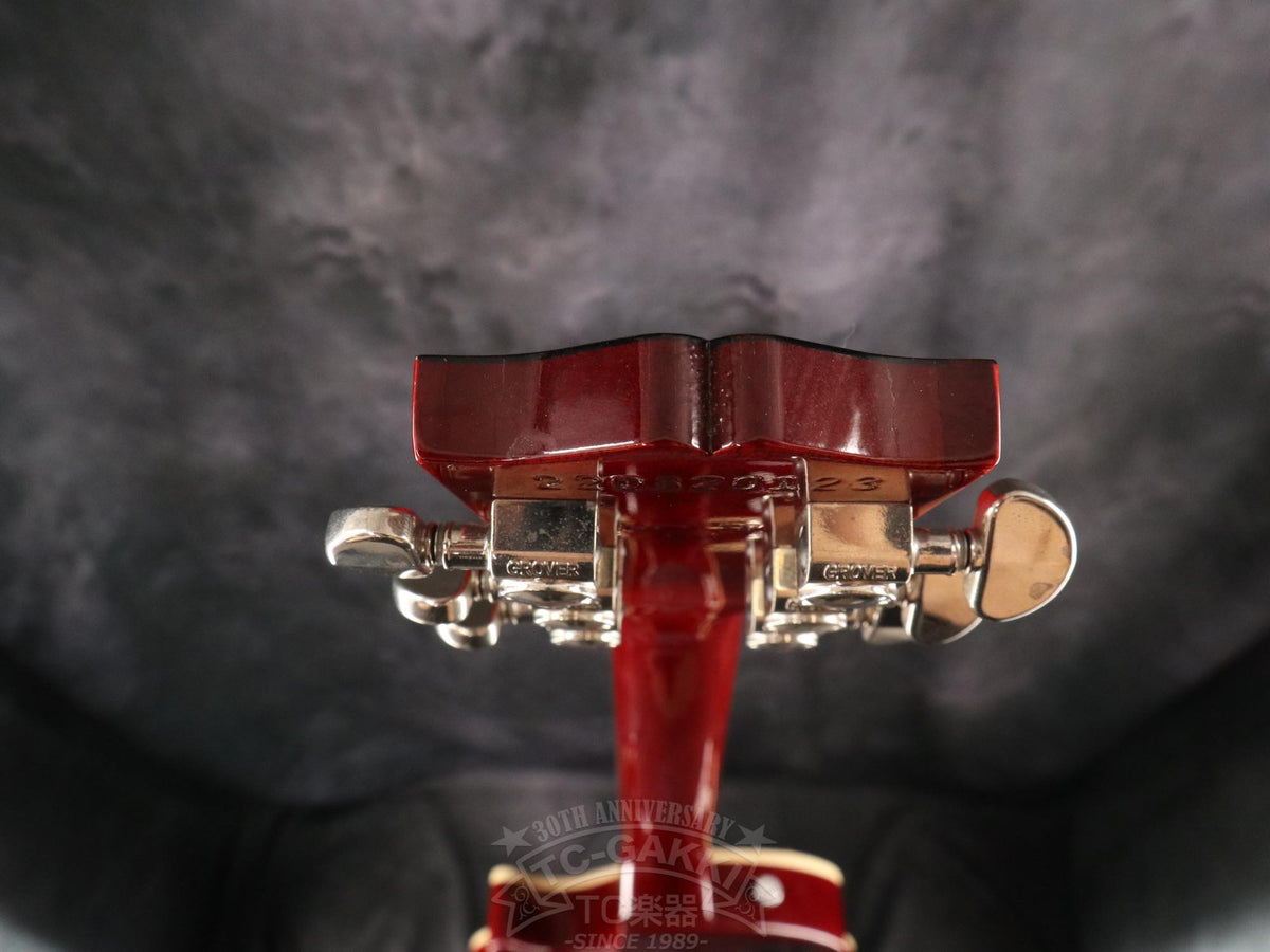 Gibson Les Paul Standard 60s