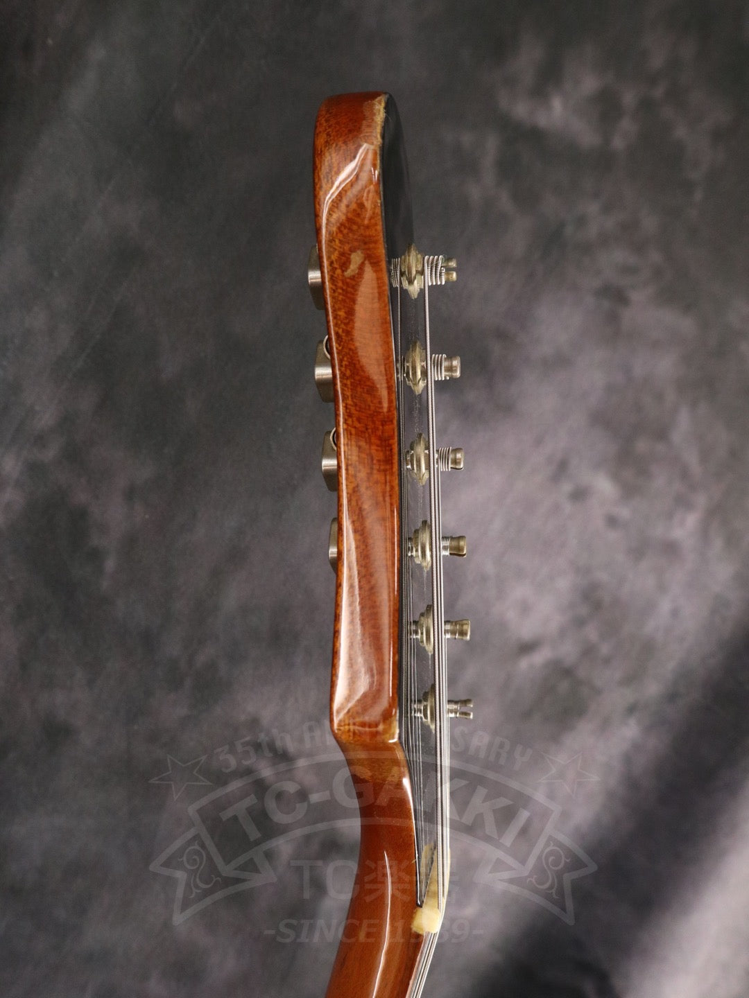 Greco BG-800 Boogie