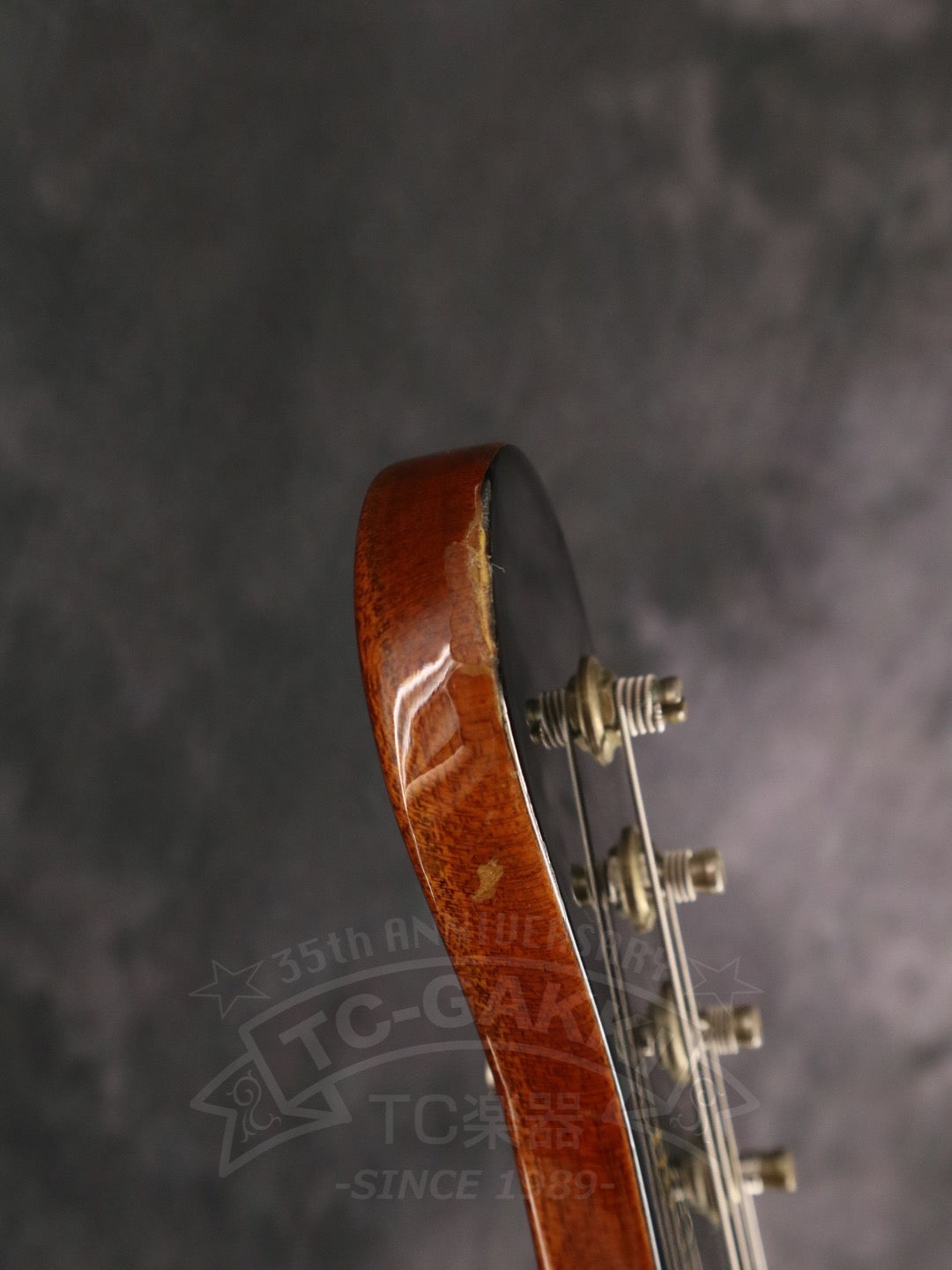 Greco BG-800 Boogie