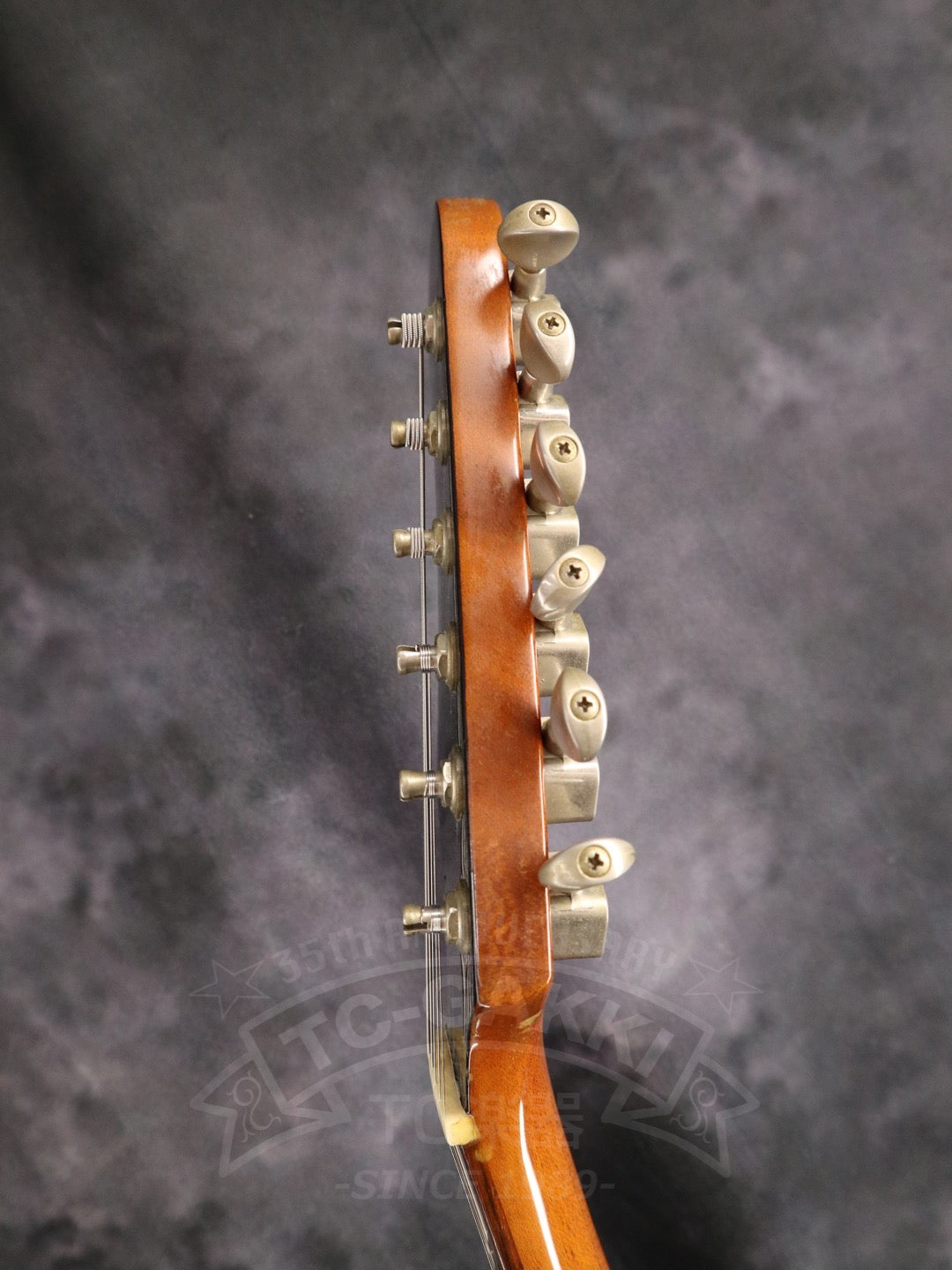 Greco BG-800 Boogie
