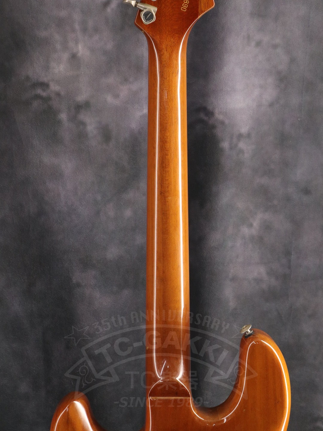 Greco BG-800 Boogie