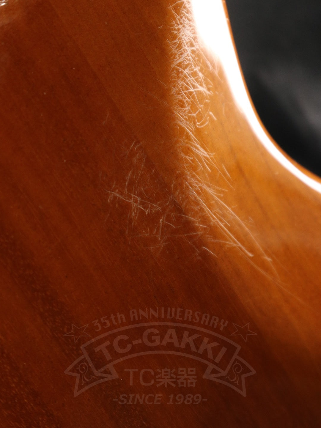 Greco BG-800 Boogie