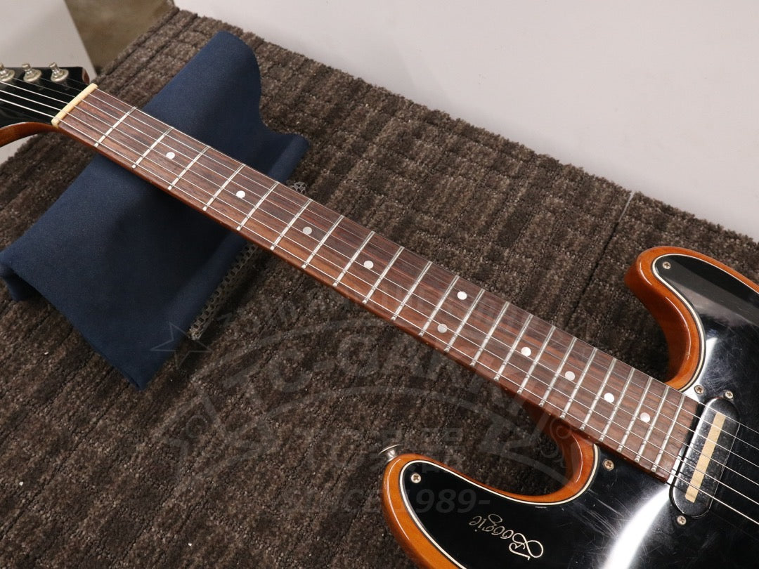 Greco BG-800 Boogie