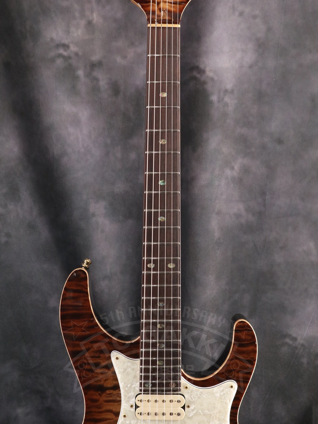 Freedom Custom Guitar Research HYDRA 2point-24F