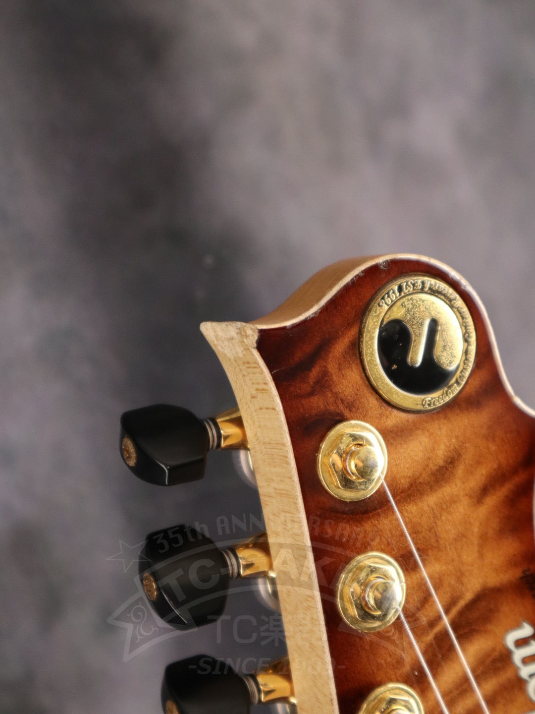 Freedom Custom Guitar Research HYDRA 2point-24F