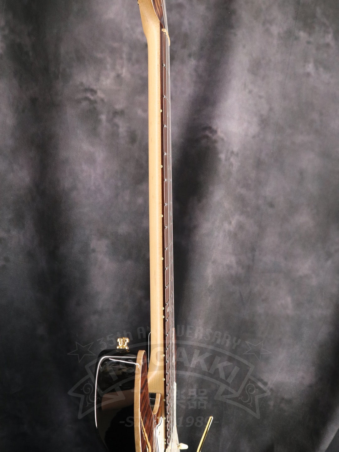 Freedom Custom Guitar Research HYDRA 2point-24F