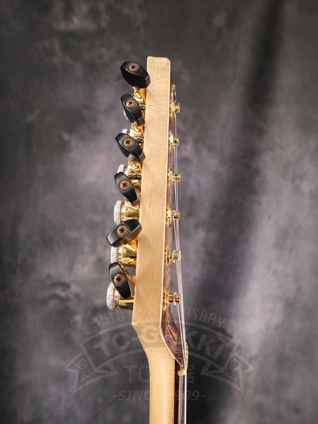 Freedom Custom Guitar Research HYDRA 2point-24F