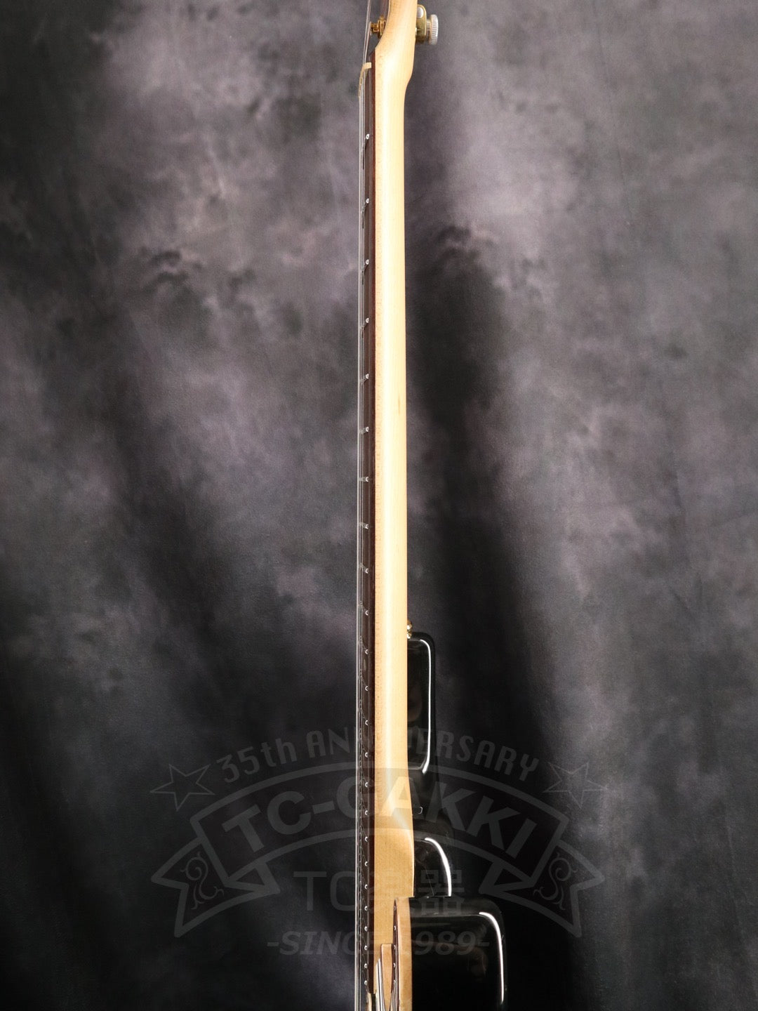 Freedom Custom Guitar Research HYDRA 2point-24F