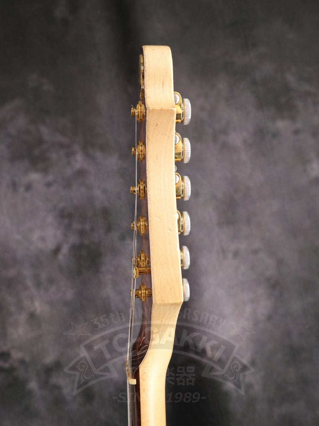 Freedom Custom Guitar Research HYDRA 2point-24F
