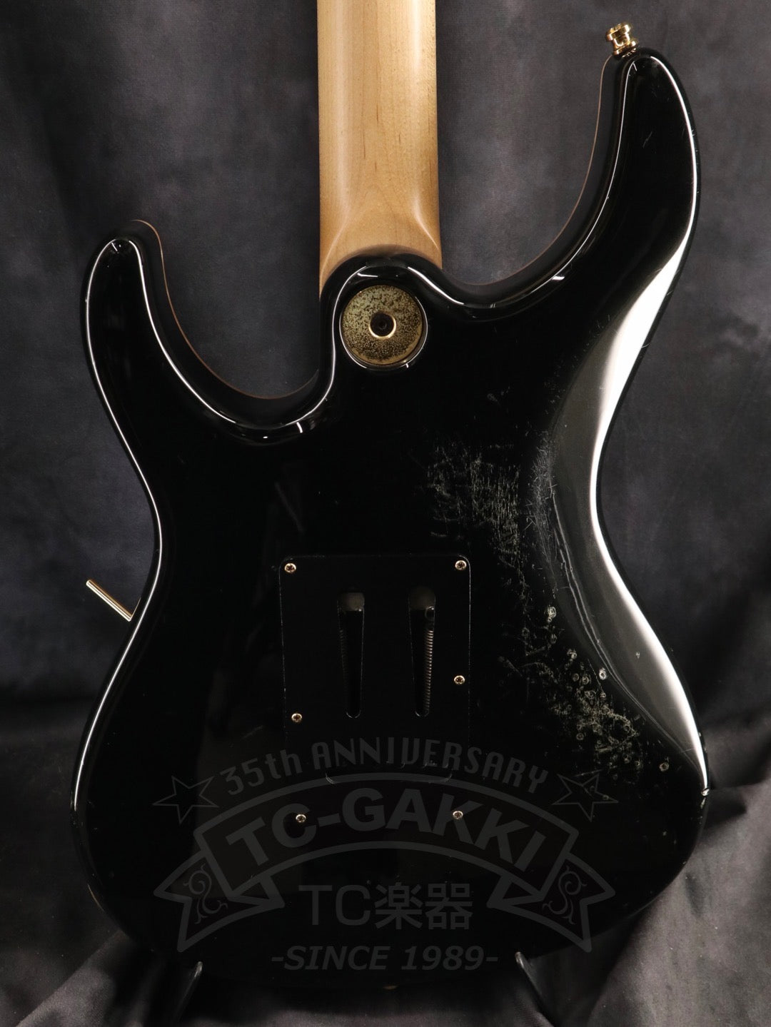 Freedom Custom Guitar Research HYDRA 2point-24F