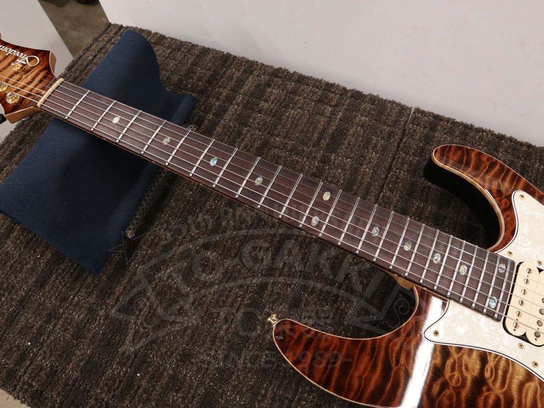 Freedom Custom Guitar Research HYDRA 2point-24F