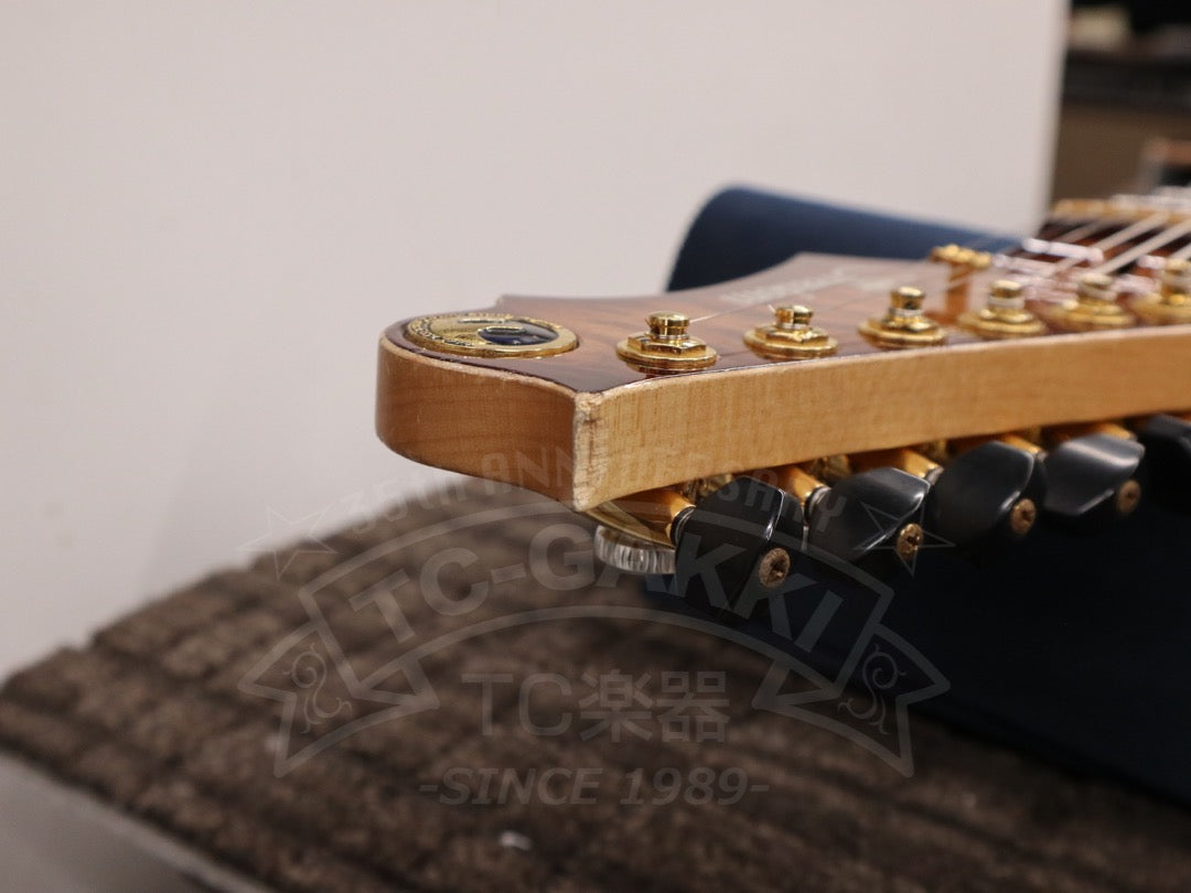 Freedom Custom Guitar Research HYDRA 2point-24F