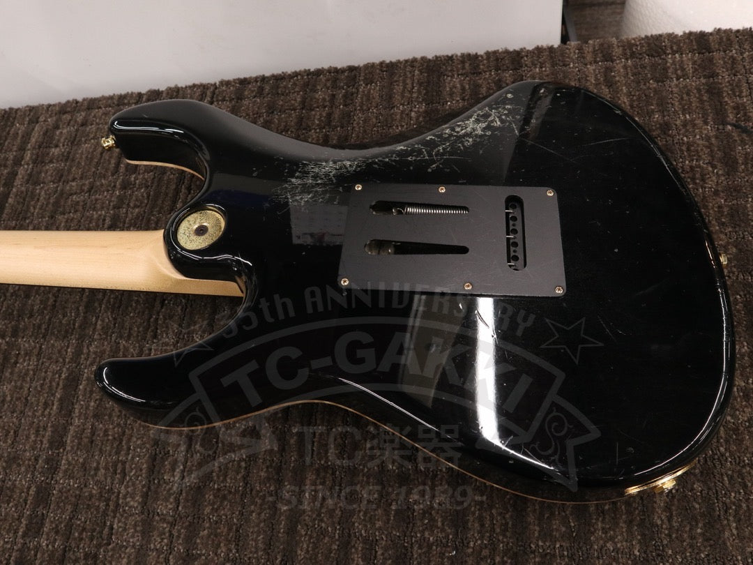 Freedom Custom Guitar Research HYDRA 2point-24F