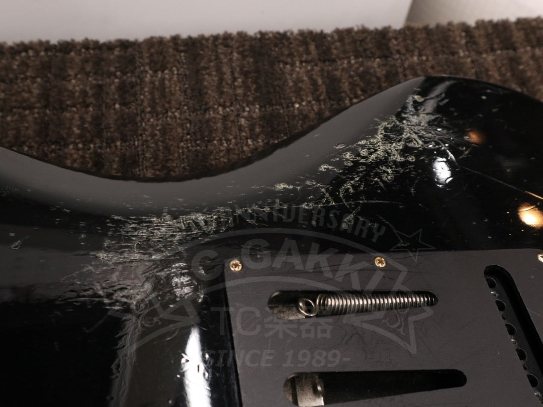 Freedom Custom Guitar Research HYDRA 2point-24F