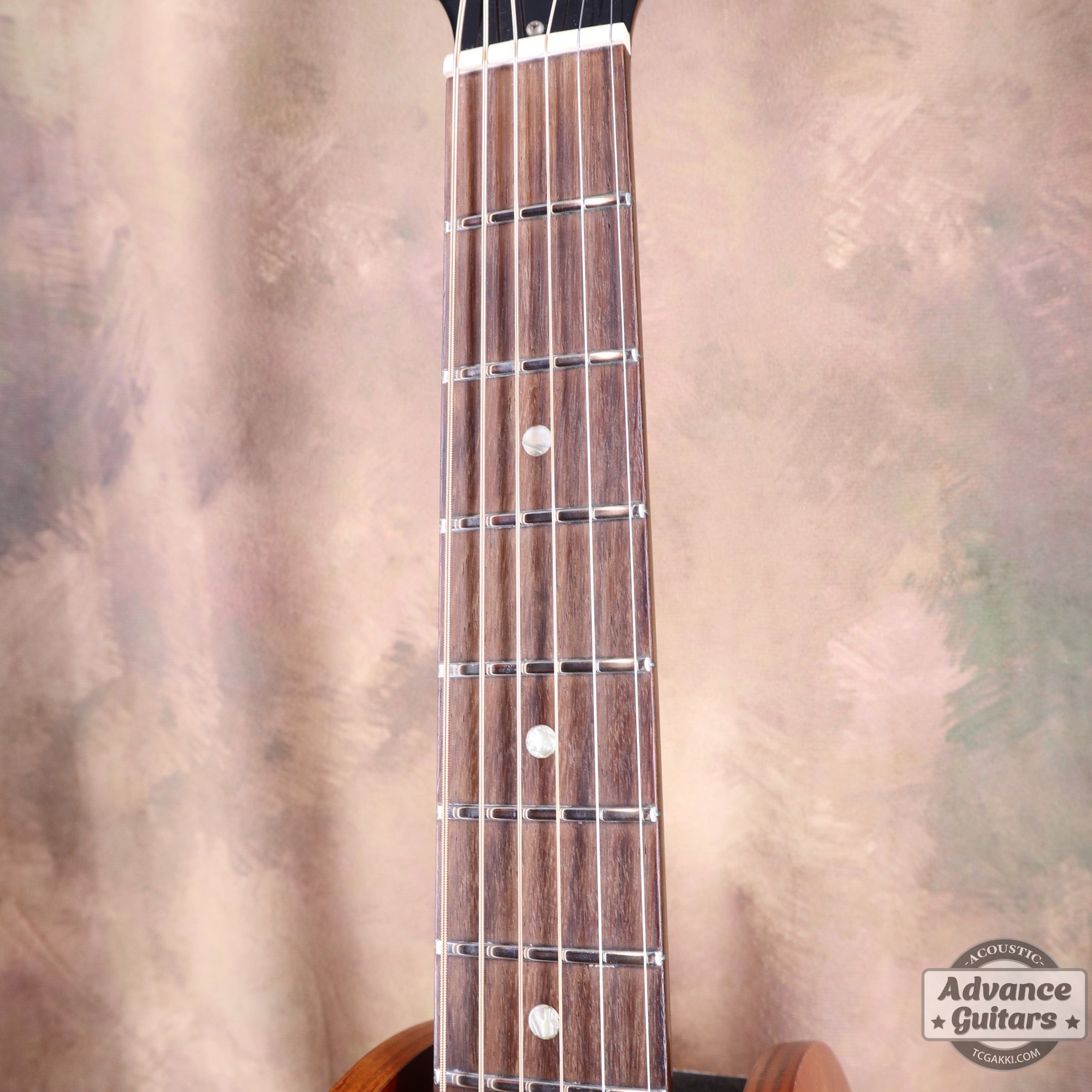Gibson 1965年製 B-25