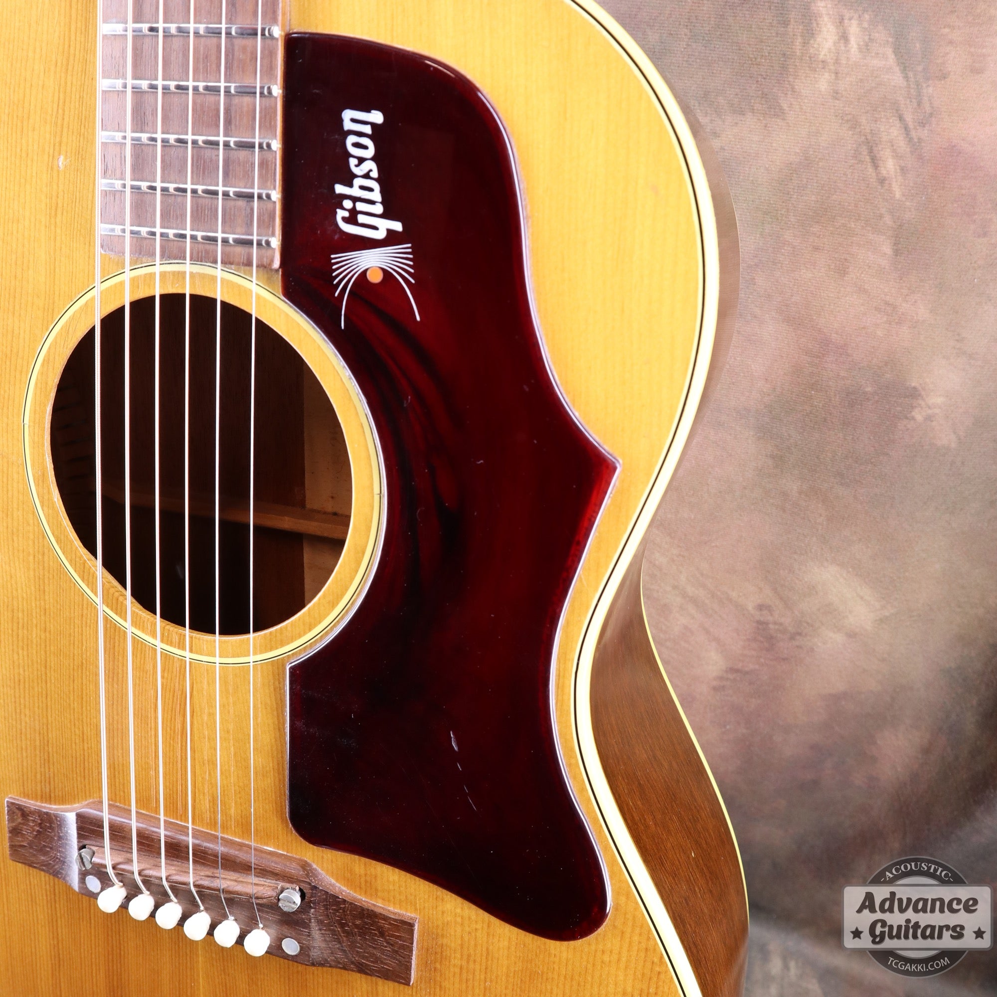 Gibson 1965年製 B-25