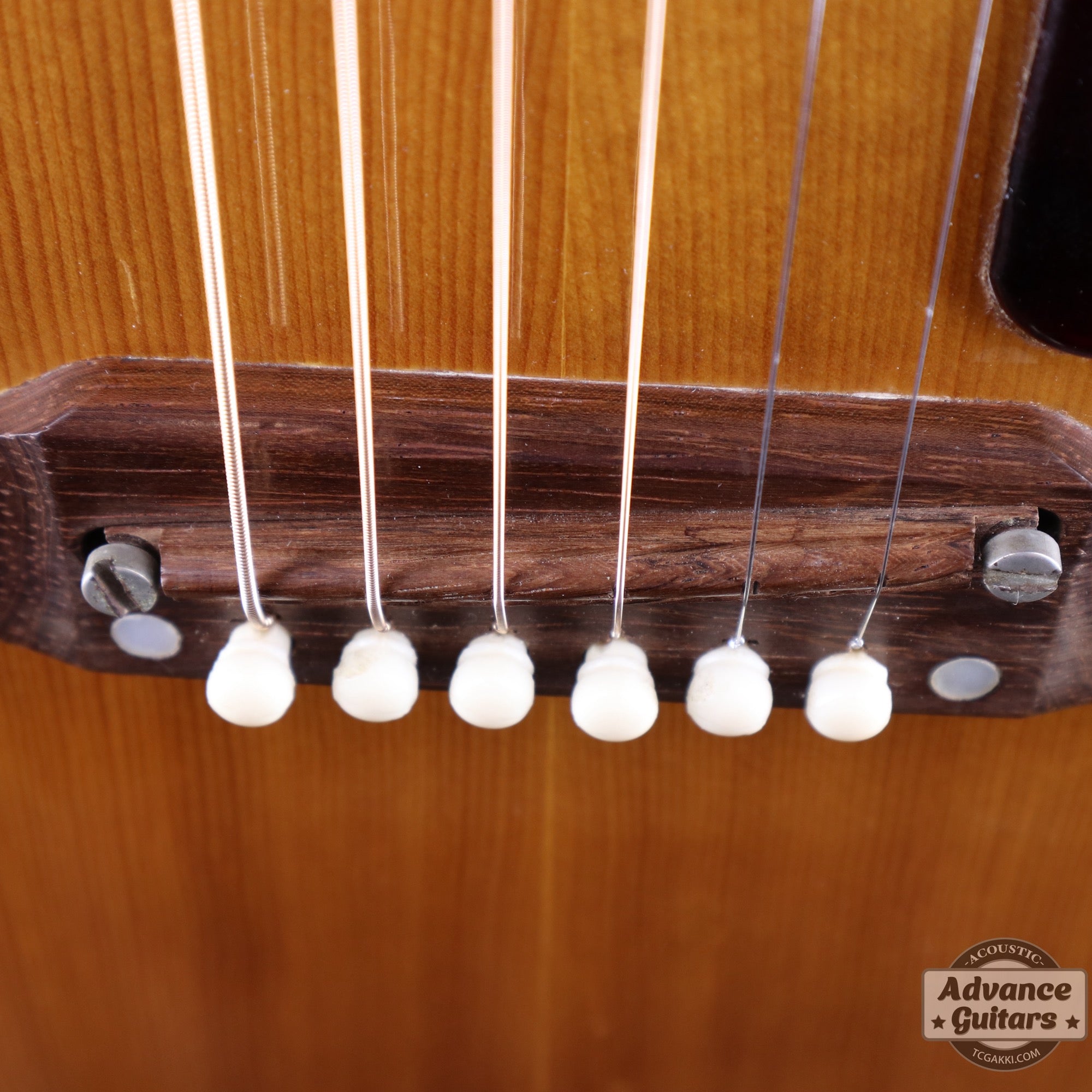 Gibson 1965年製 B-25