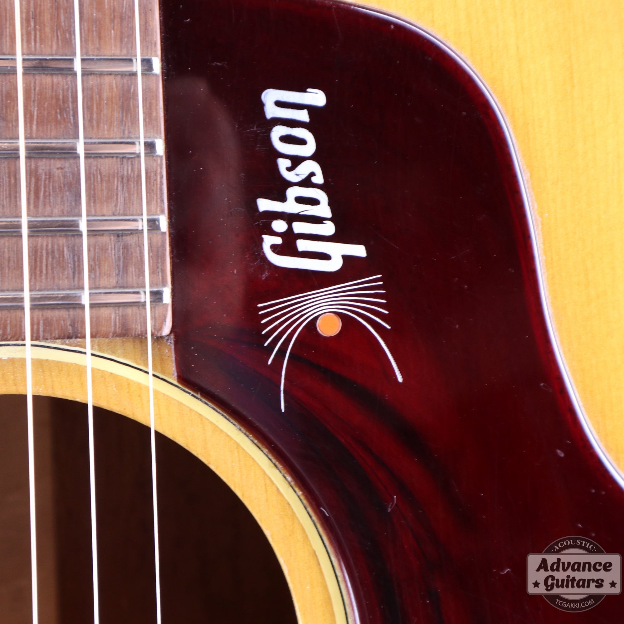 Gibson 1965年製 B-25