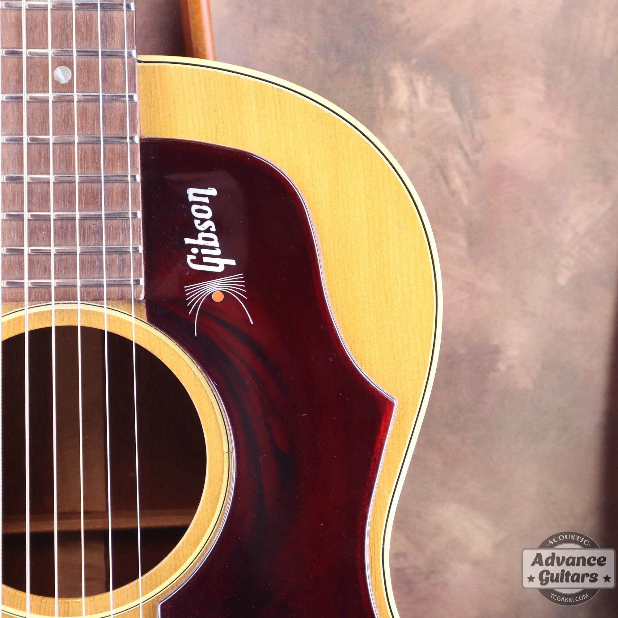 Gibson 1965年製 B-25