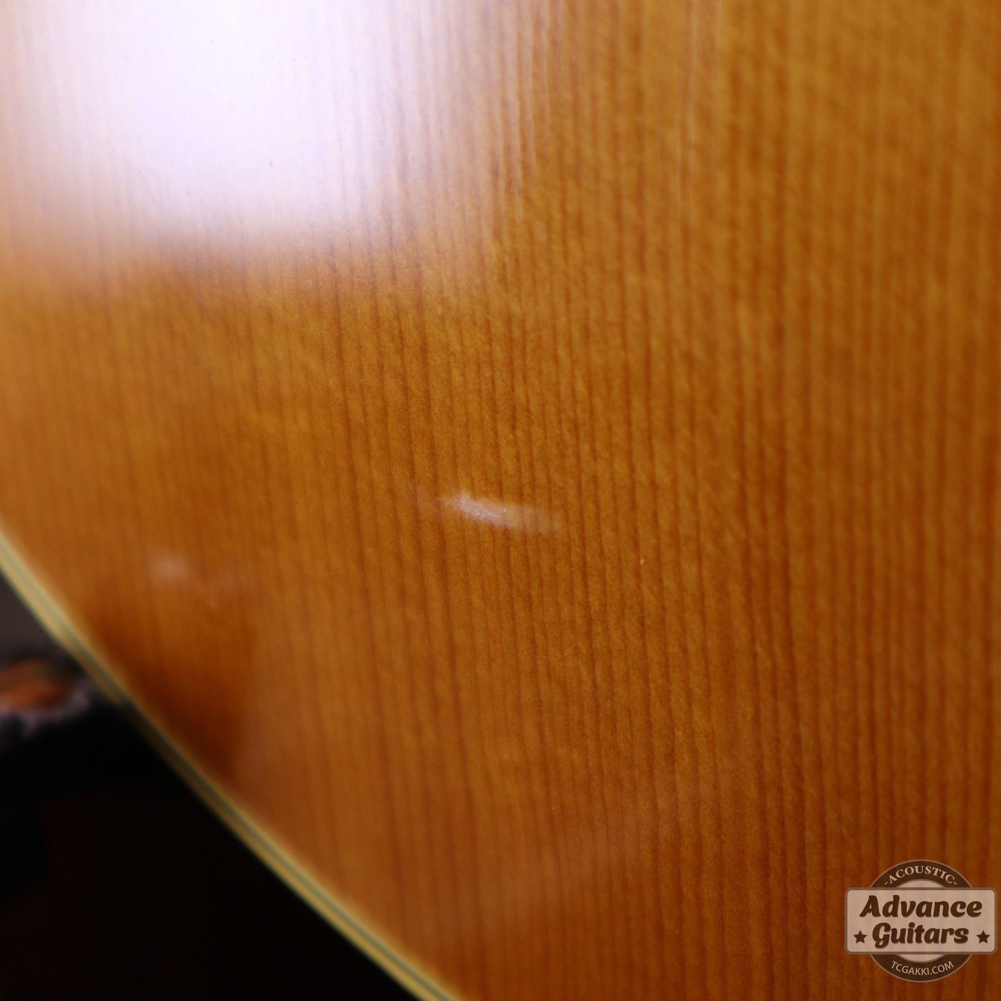 Gibson 1965年製 B-25