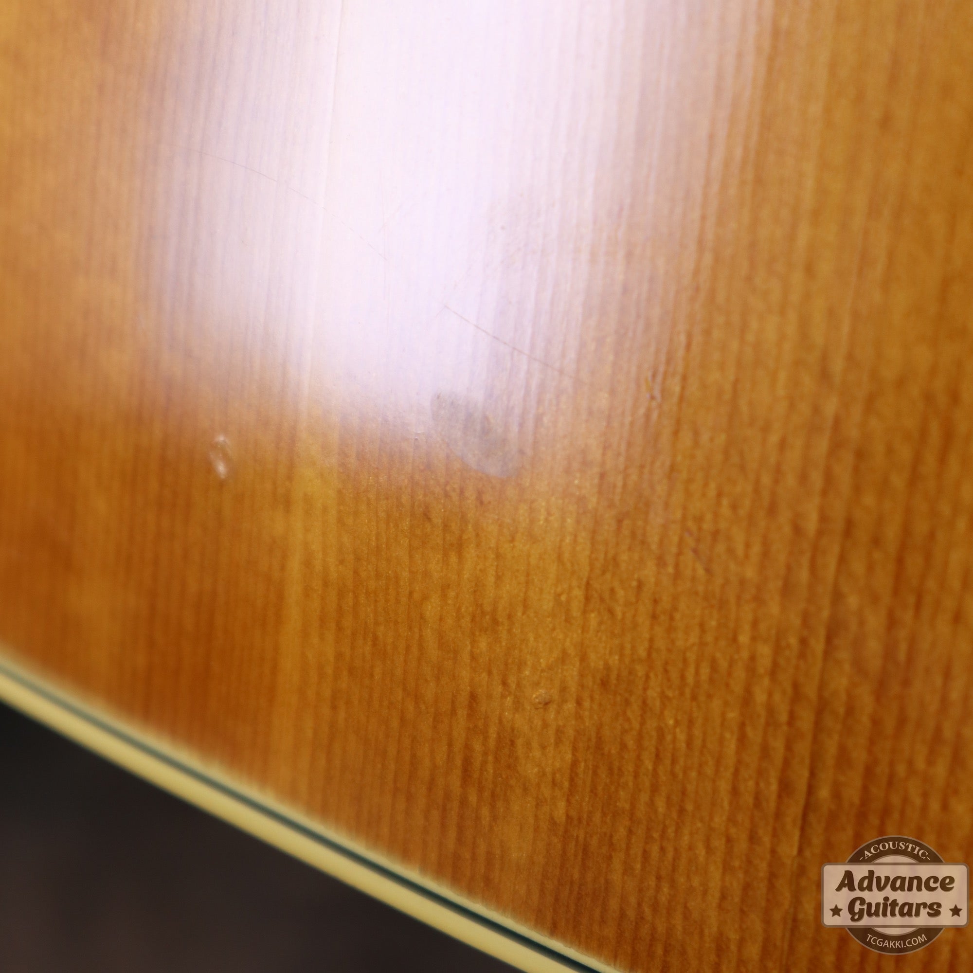 Gibson 1965年製 B-25