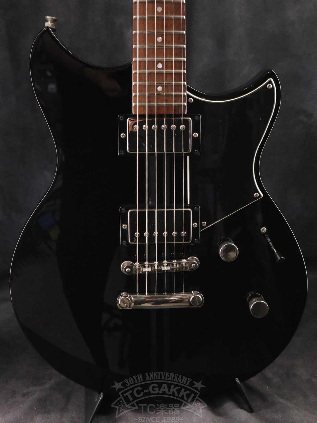 YAMAHA RSE20